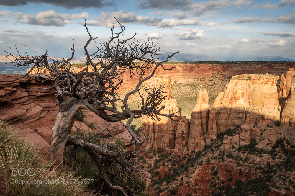Nikon D90 sample photo. Monument canyon photography