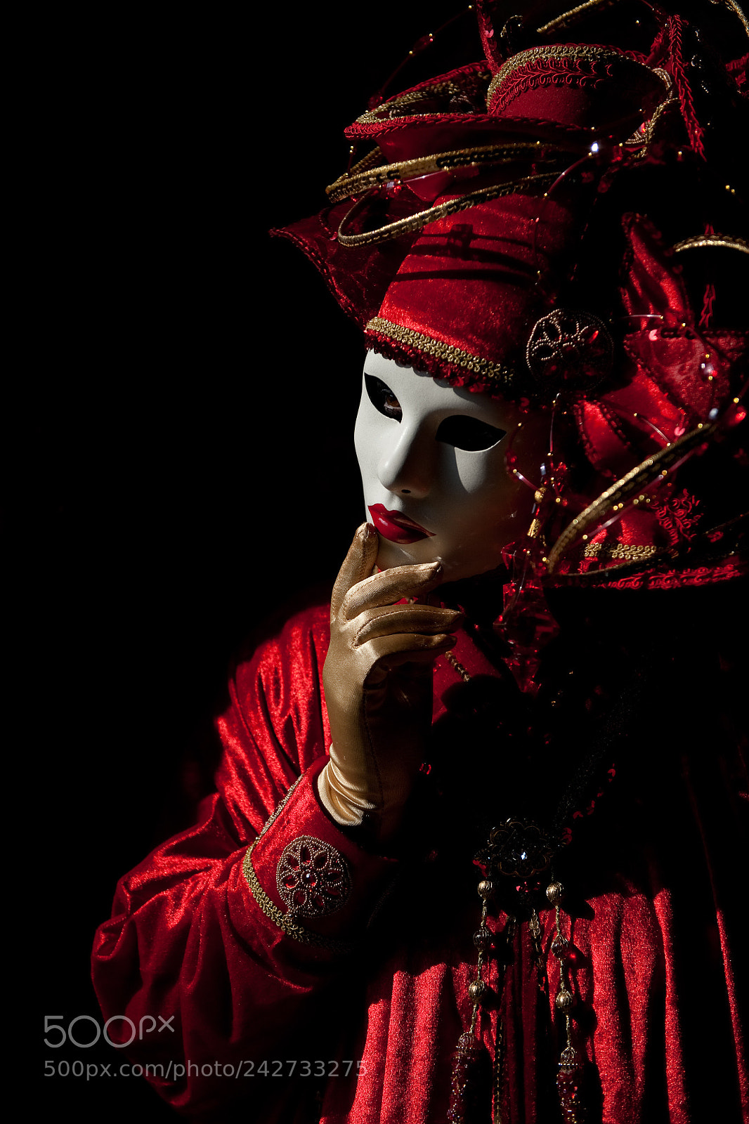 Nikon D3 sample photo. Costume in the shadows photography