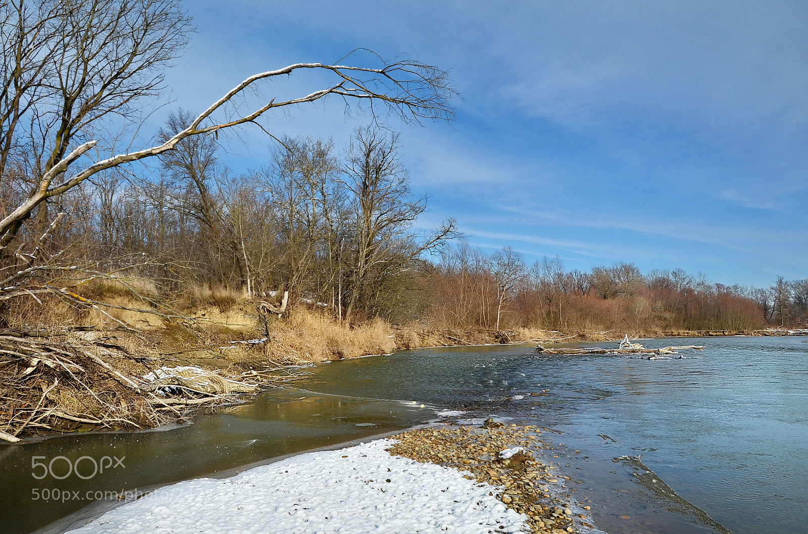Nikon D5100 sample photo. Untitled photography