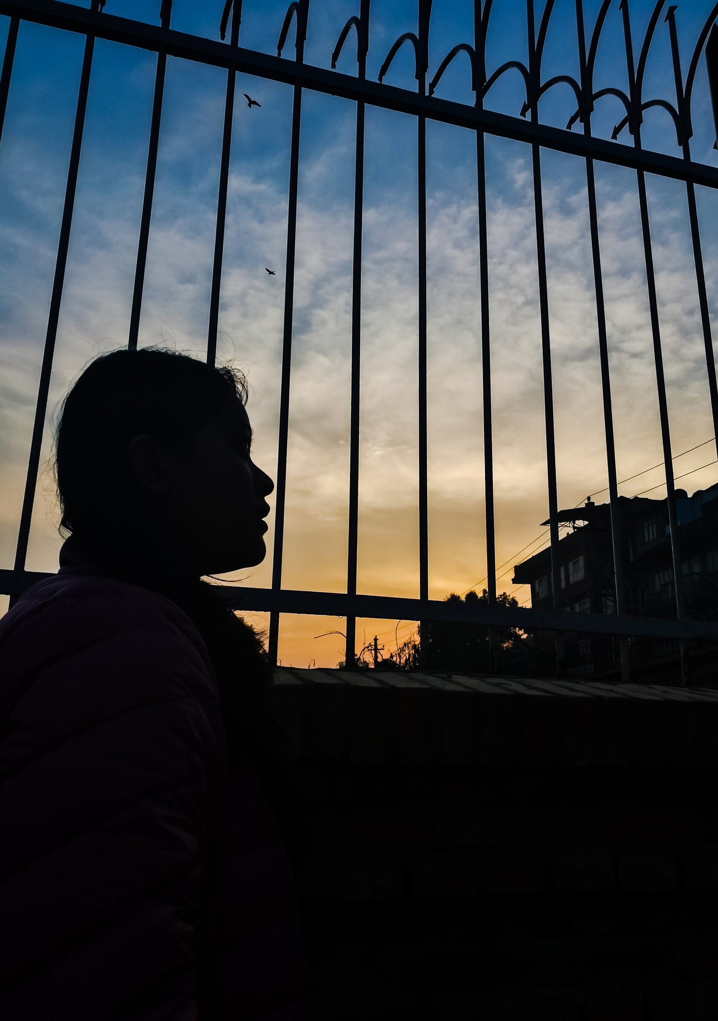 HUAWEI FRD-L02 sample photo. Silhouette photography