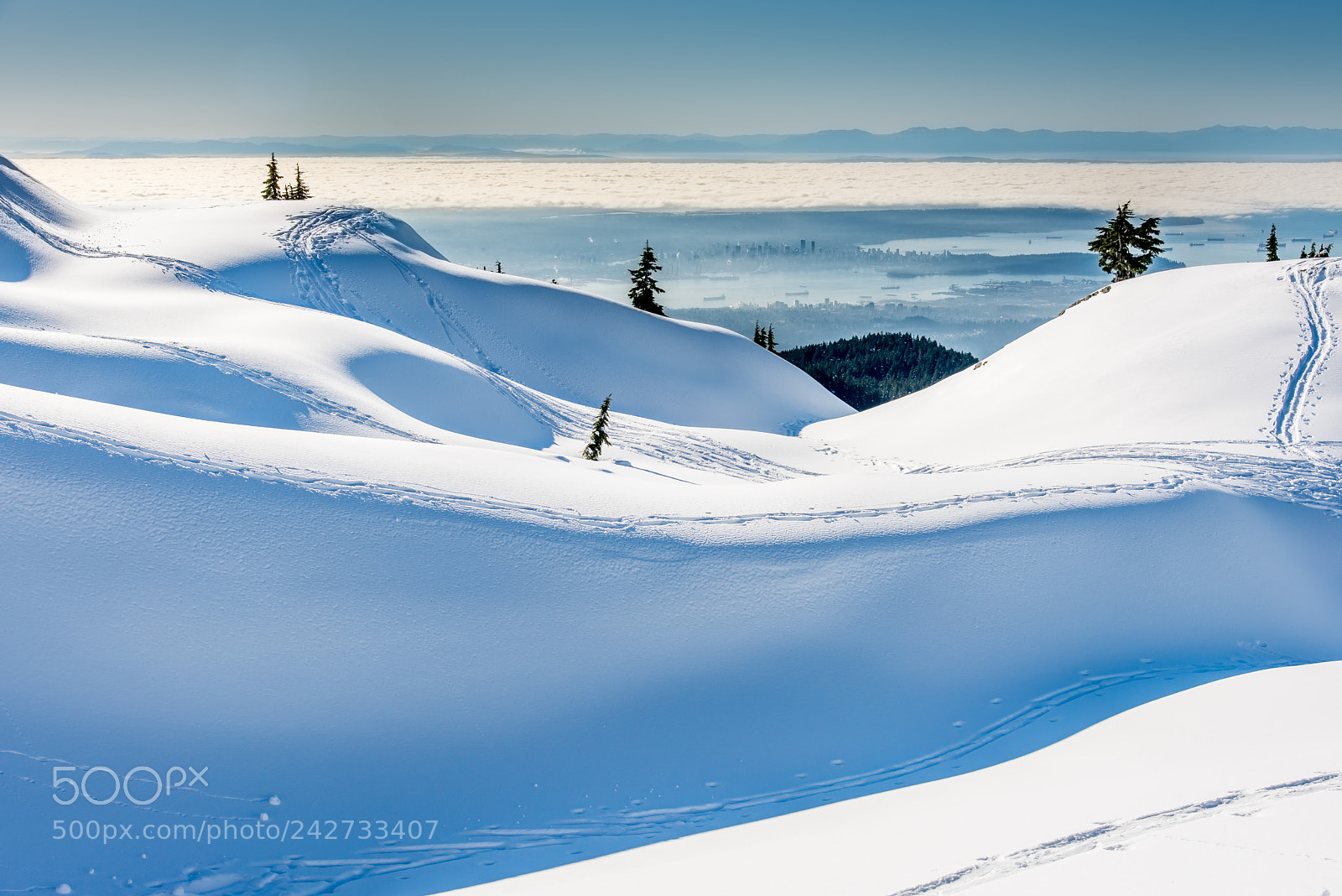 Nikon D810 sample photo. Over the snow photography