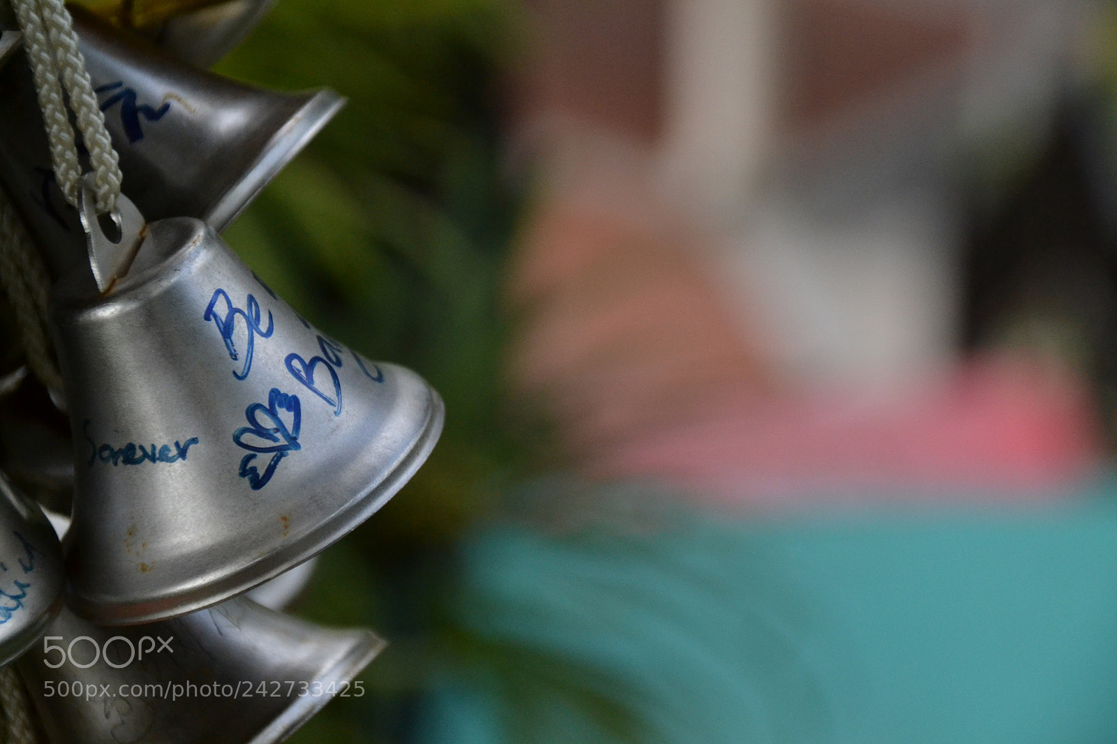 Nikon D3100 sample photo. Bell of hapiness photography
