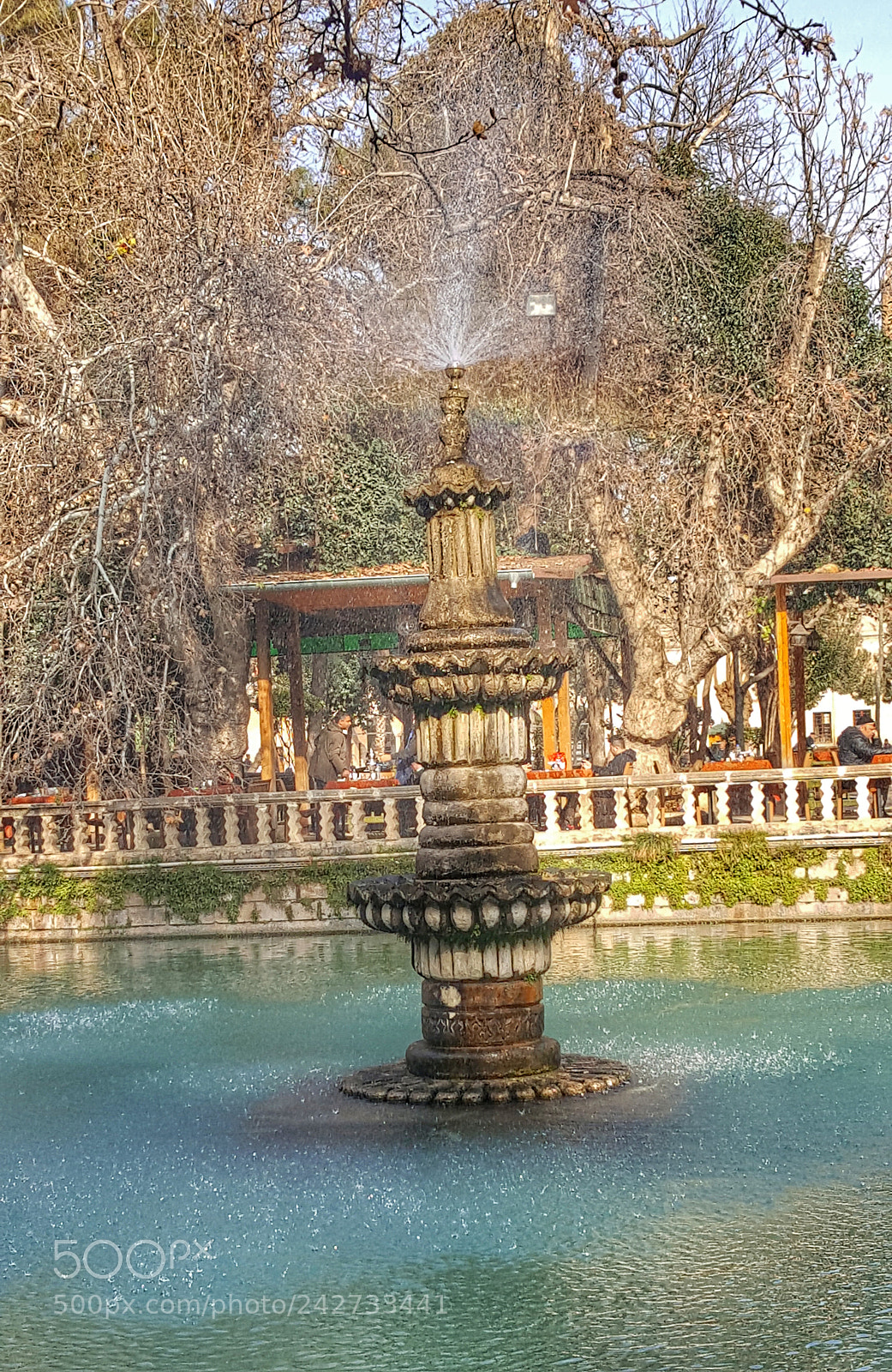 Samsung Galaxy Note5 sample photo. Untitled photography