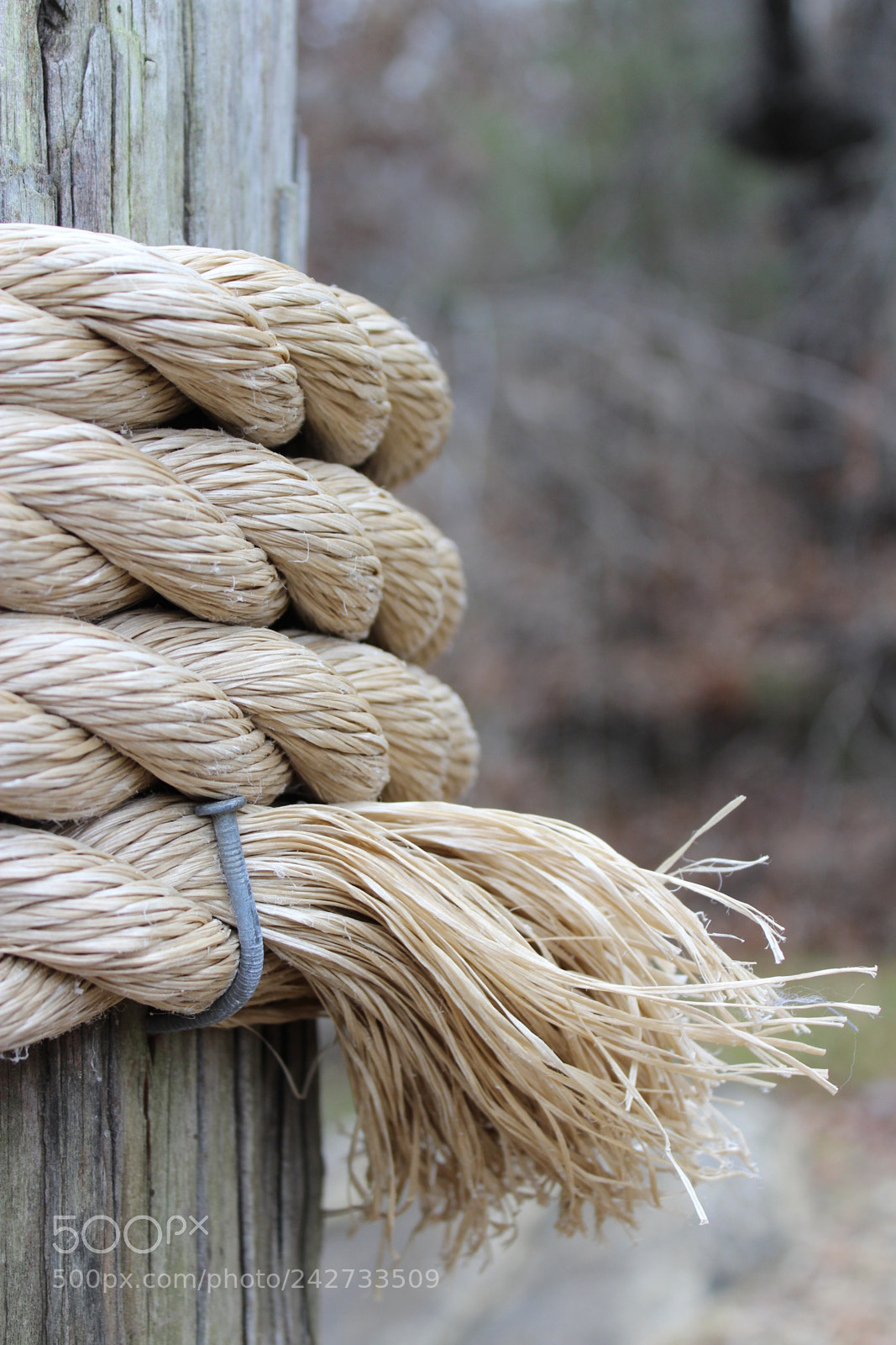 Canon EOS 1300D (EOS Rebel T6 / EOS Kiss X80) sample photo. Nautical rope fray photography