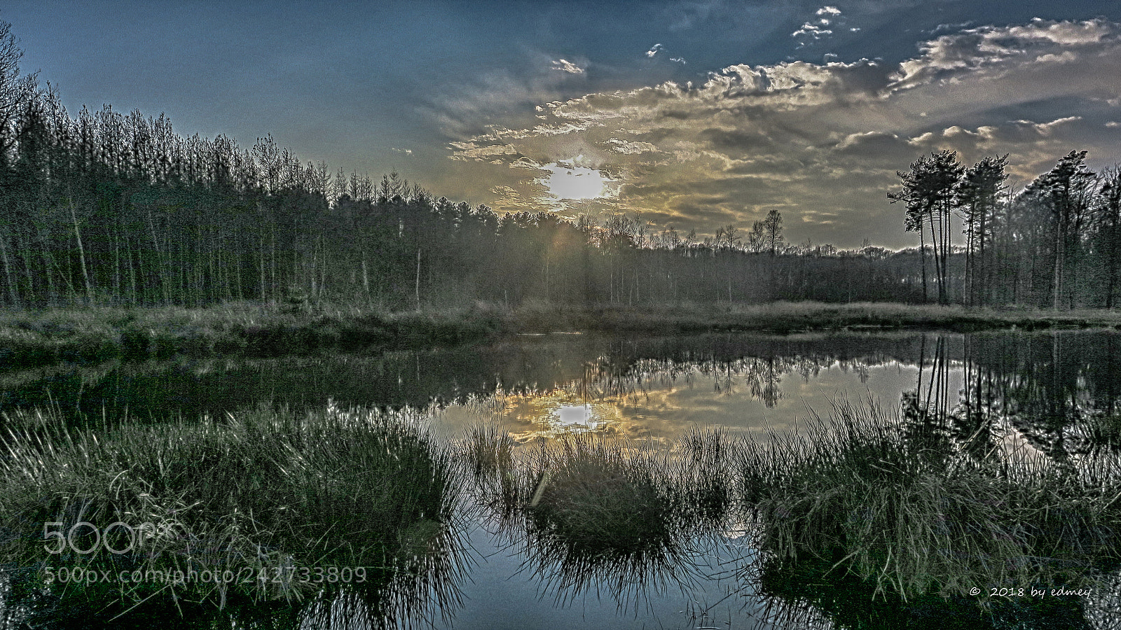Canon PowerShot G3 X sample photo. Belgian wetland photography