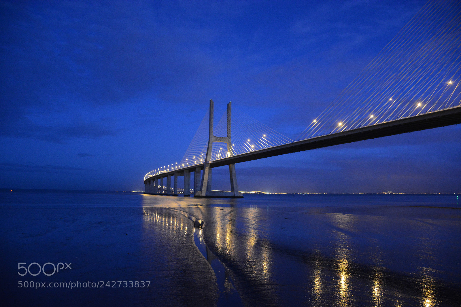 Nikon D7100 sample photo. Vasco da gama bridge photography