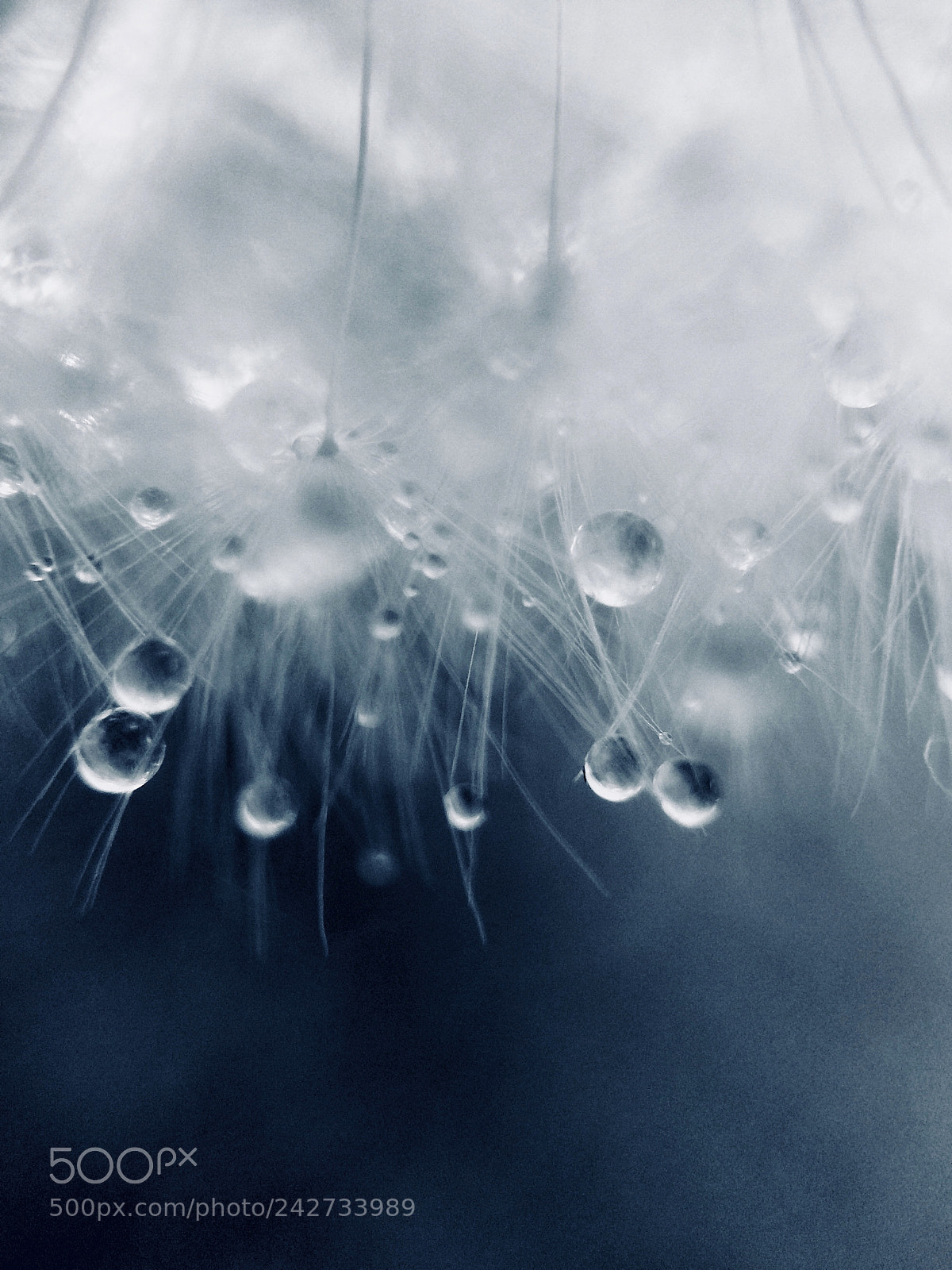 Apple iPhone 5s sample photo. Drops of water photography
