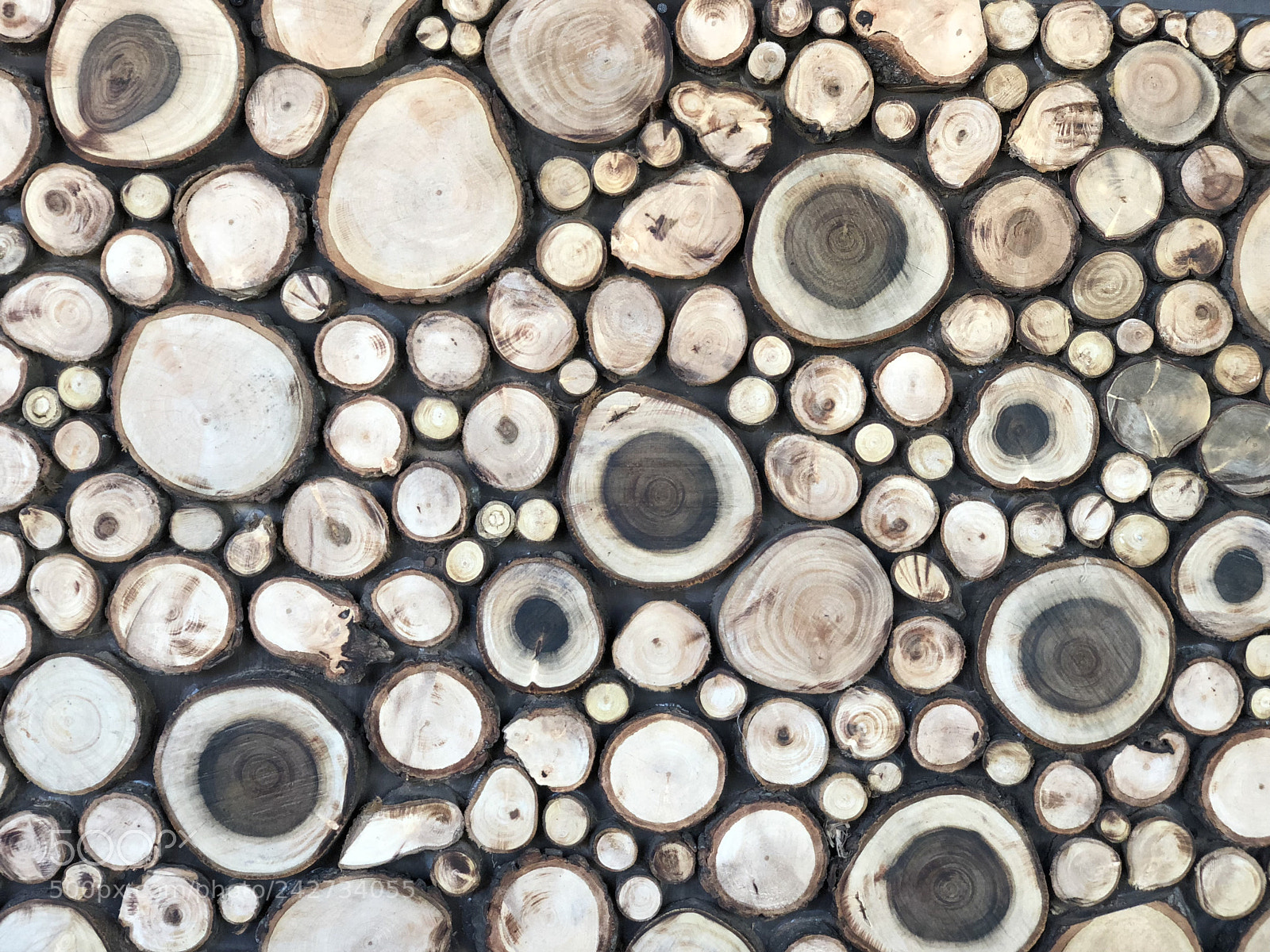 Apple iPhone X sample photo. Made of waste wood photography