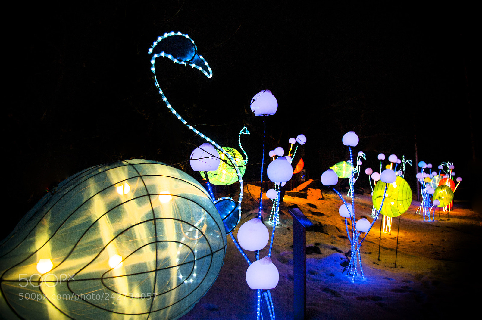 Pentax K-7 sample photo. Wonderland at night photography