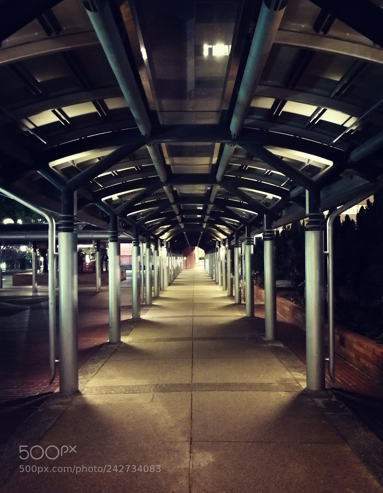 HUAWEI P10 sample photo. Untitled photography
