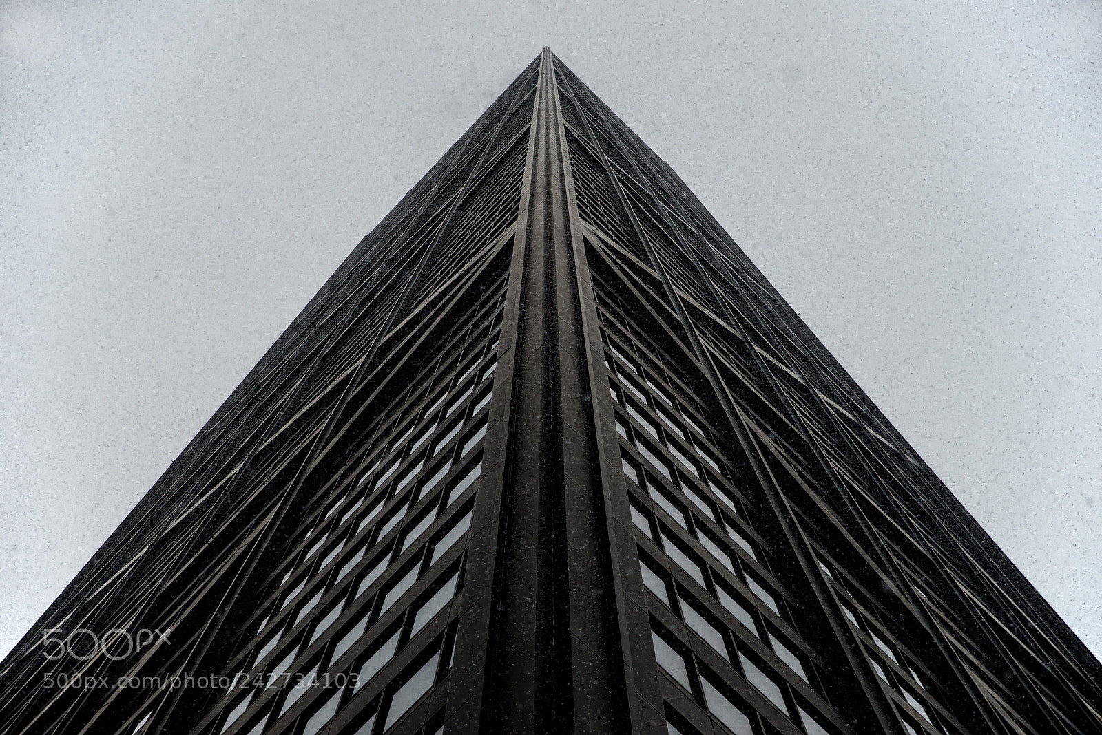 Nikon D610 sample photo. Standing in snowfall photography