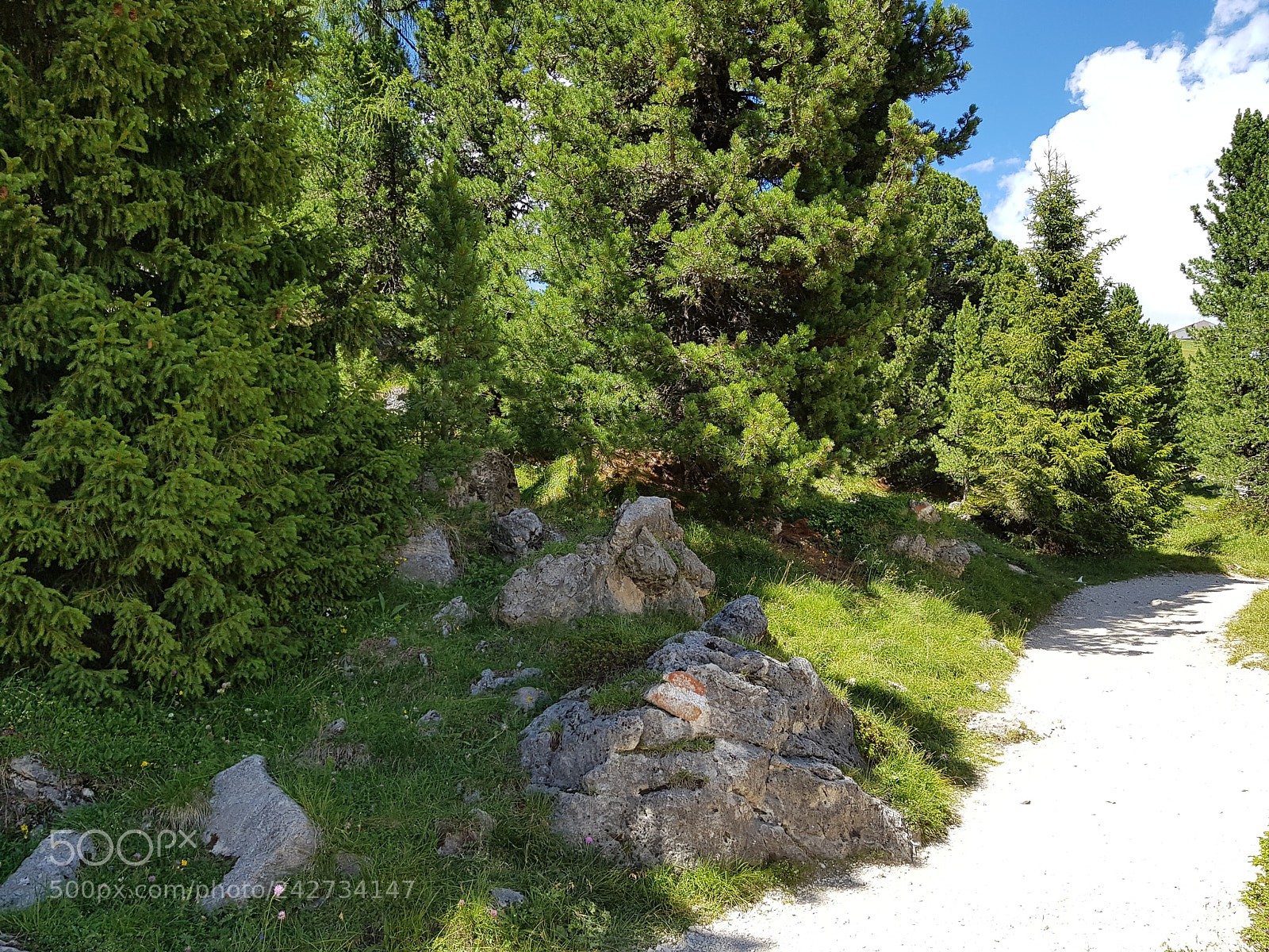Samsung Galaxy S8+ sample photo. Dolomiti54 photography