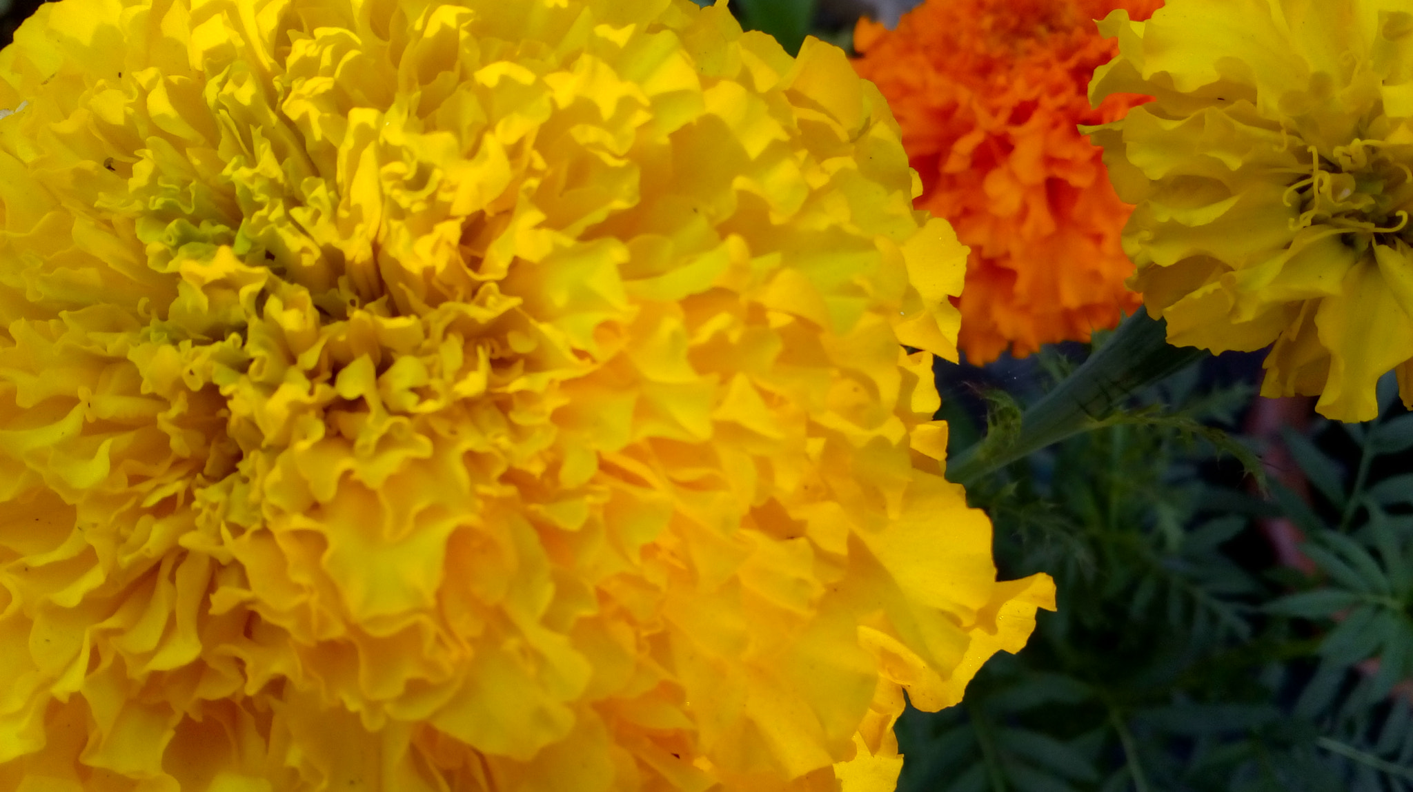 Motorola Moto E3 Power sample photo