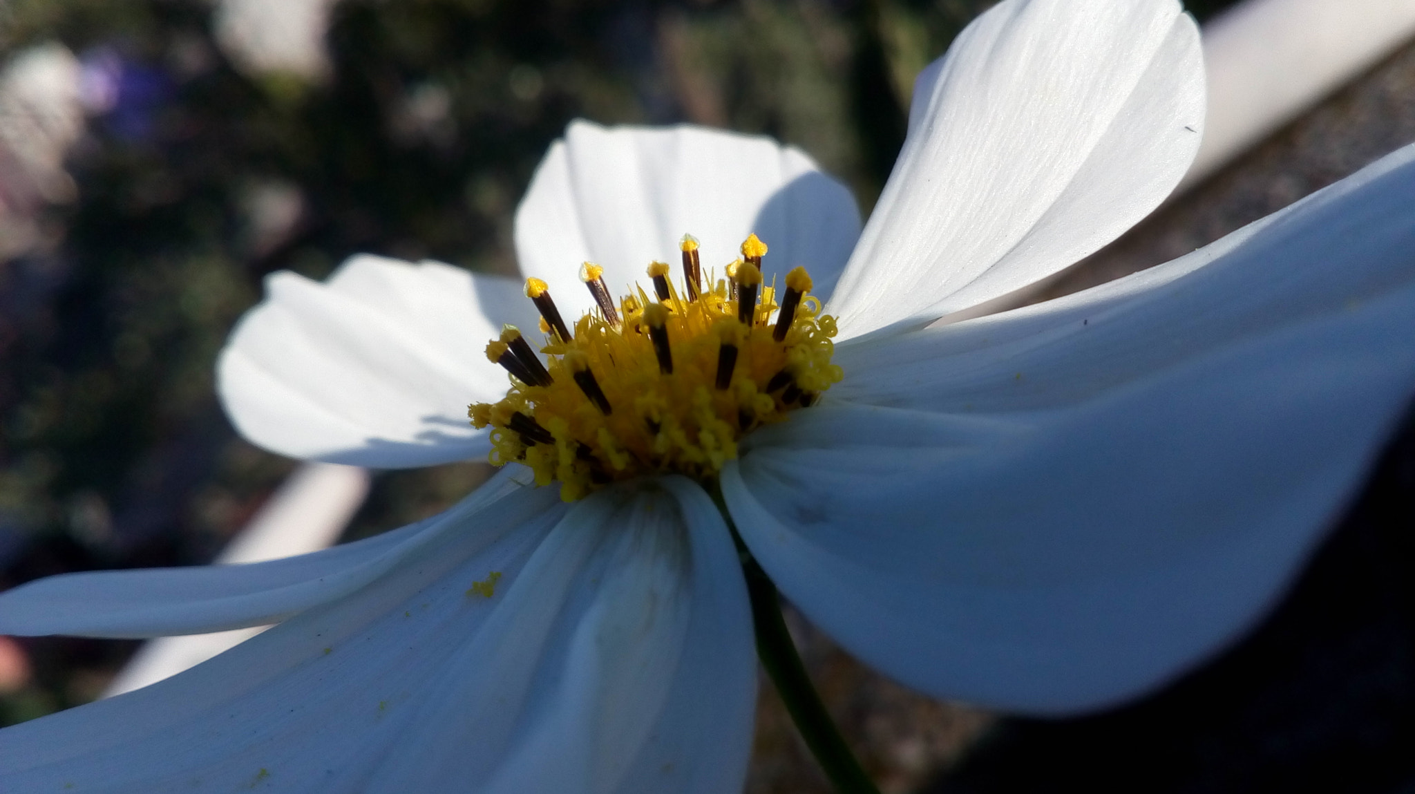 Motorola Moto E3 Power sample photo