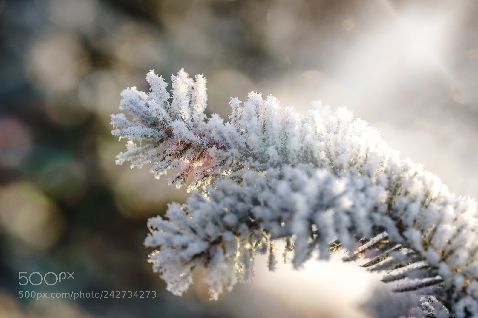 Sony a7 II sample photo. Crystals photography