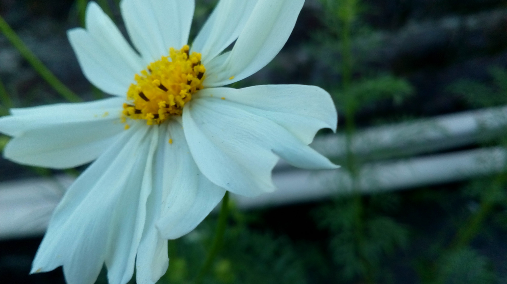 Motorola Moto E3 Power sample photo