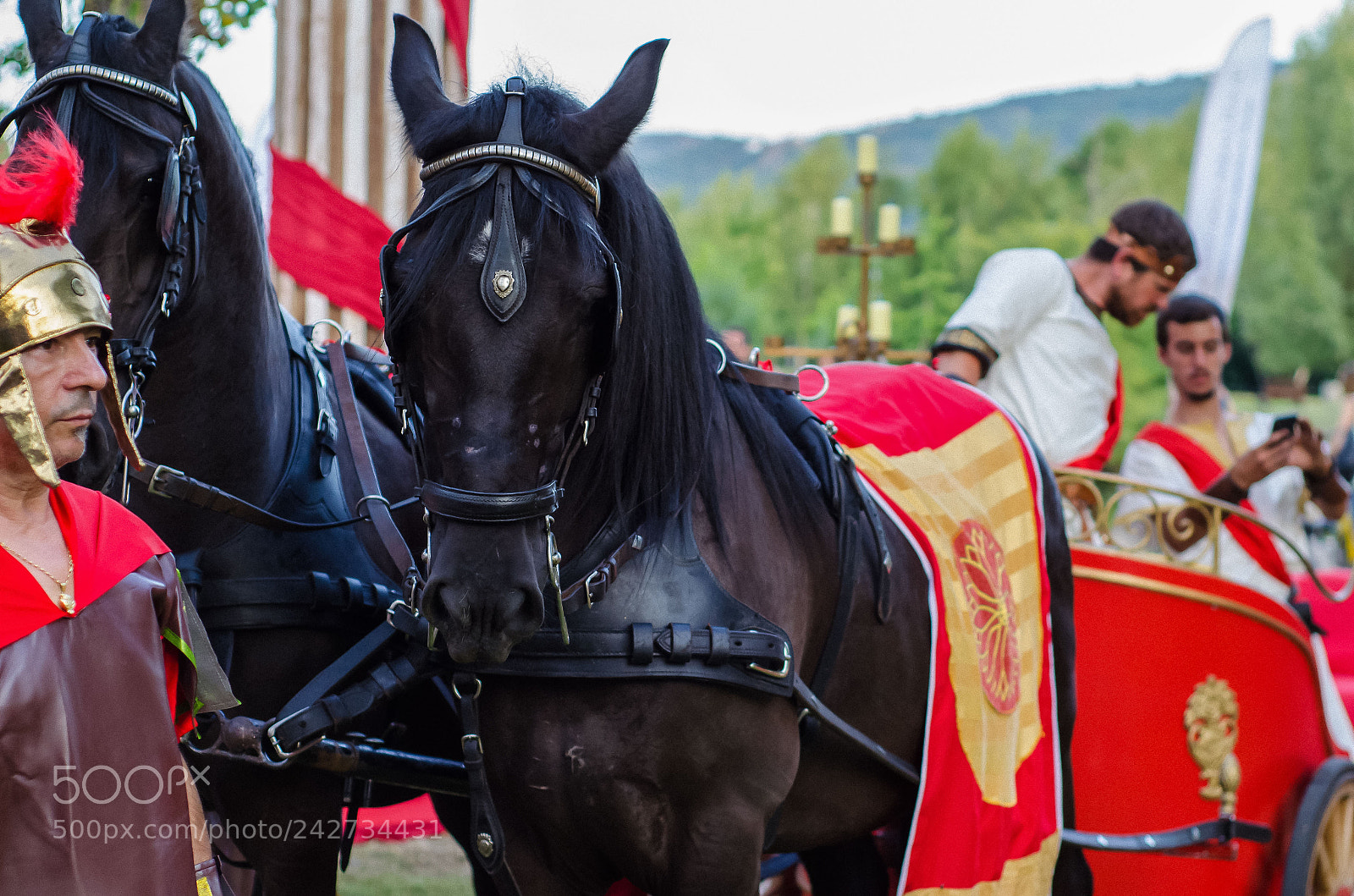 Nikon D5100 sample photo. Roman times photography