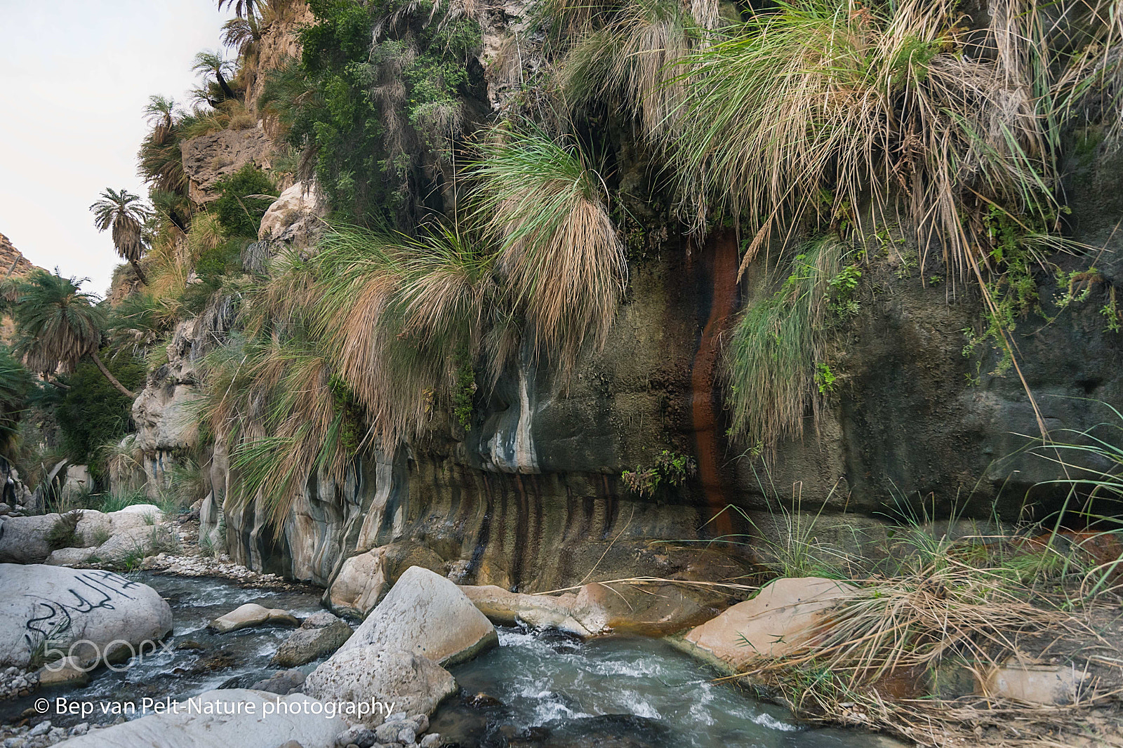Nikon D500 sample photo. Hot springs in the desert photography