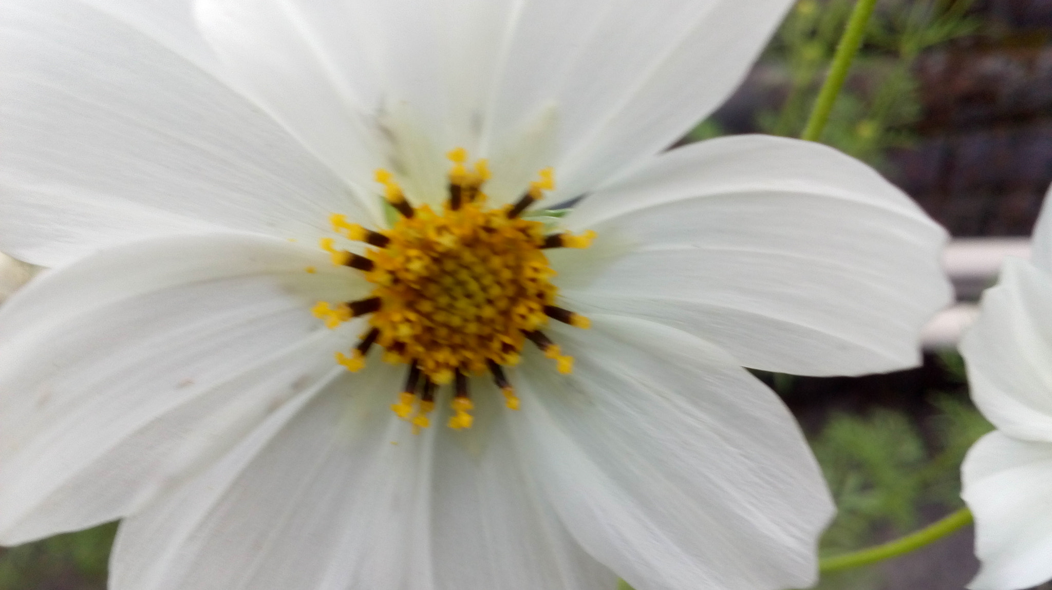 Motorola Moto E3 Power sample photo