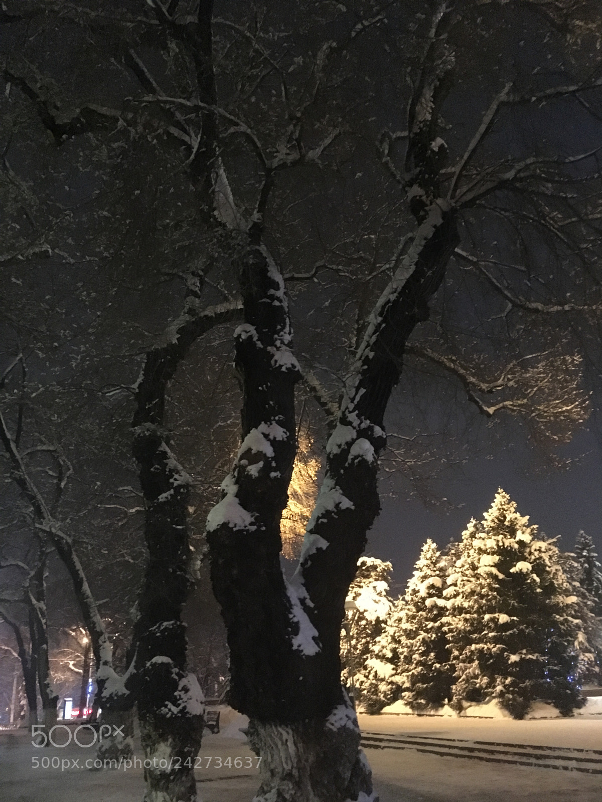 Apple iPhone SE sample photo. Evening city... photography
