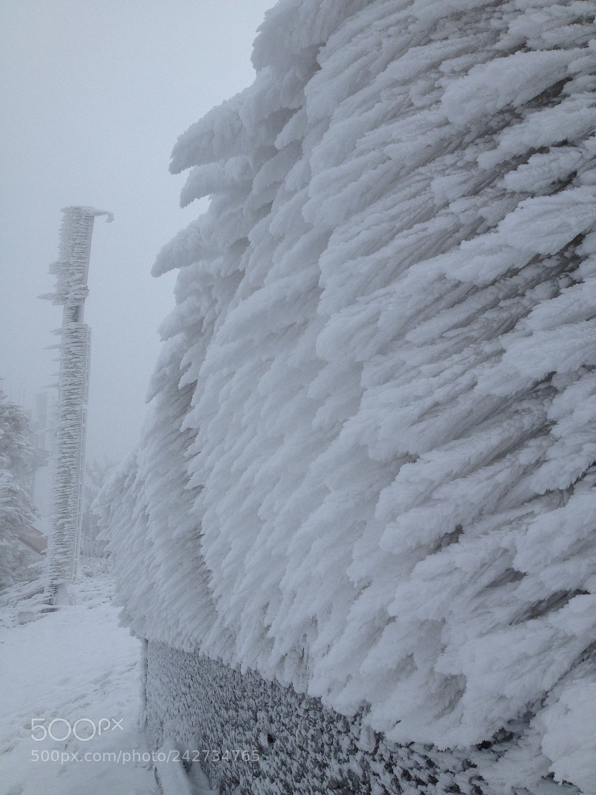 Apple iPhone 4S sample photo. Frozen fence photography