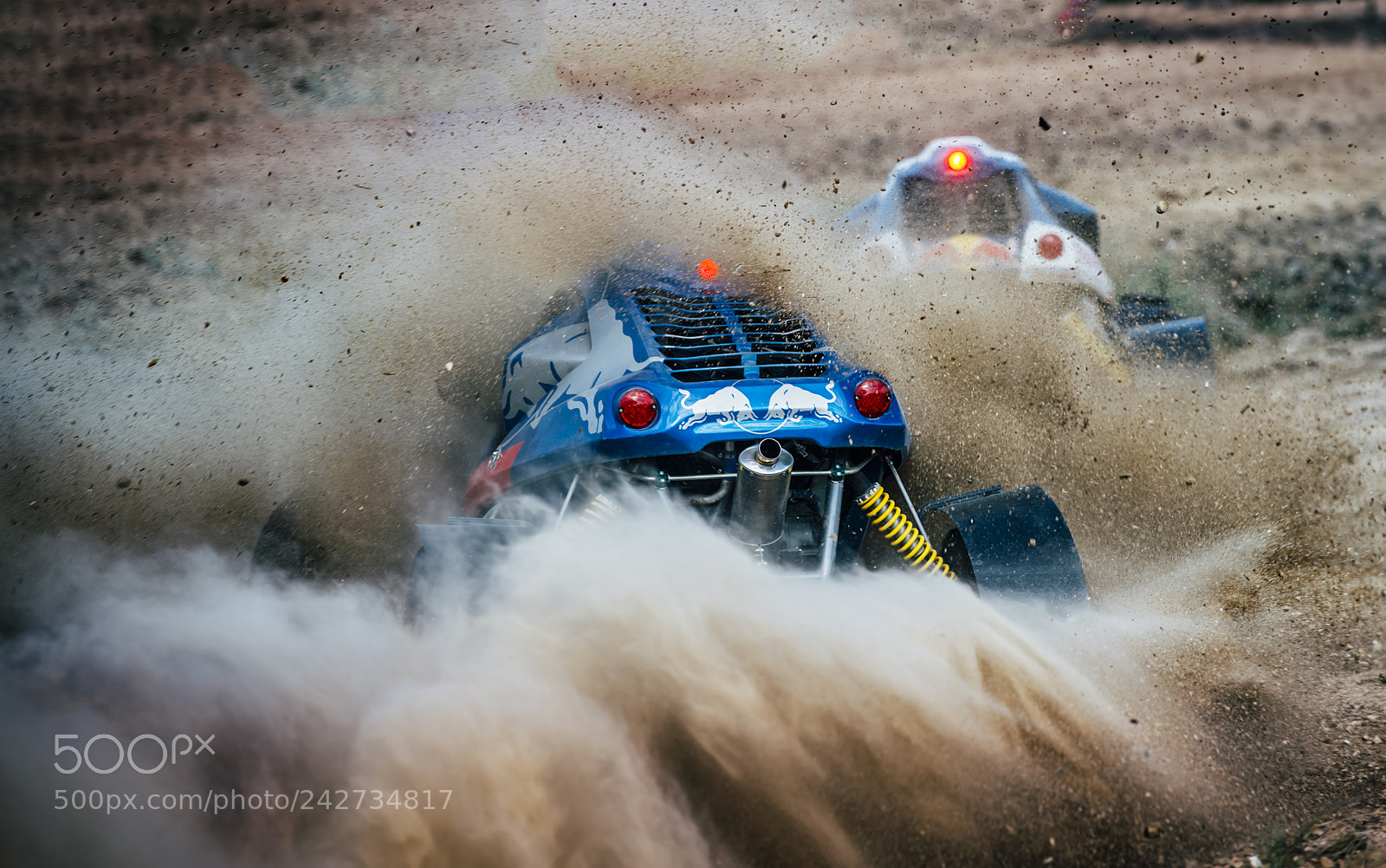 Nikon D4 sample photo. Covered in dust photography