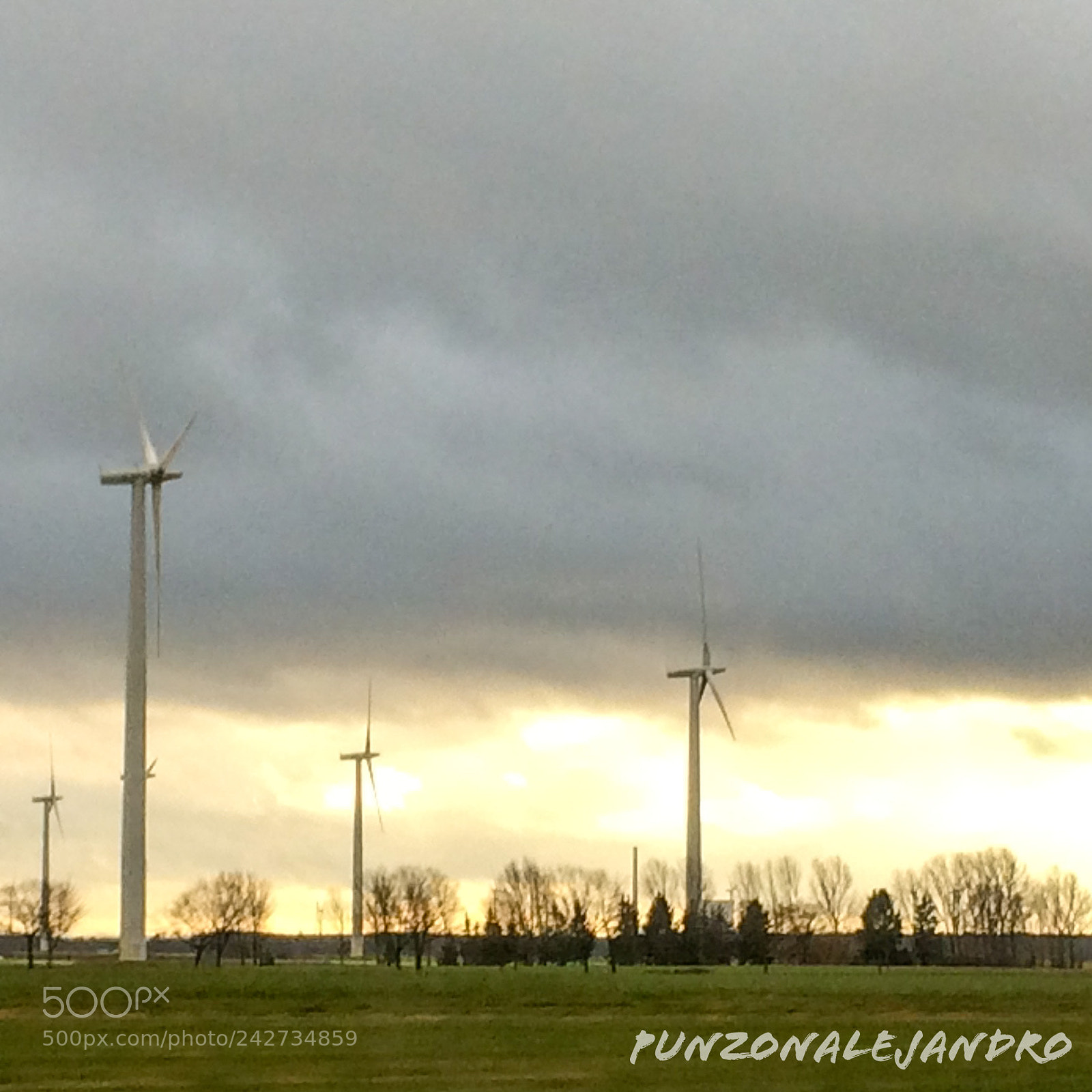 Apple iPhone 5s sample photo. North rhine-westphalia, germany. green photography