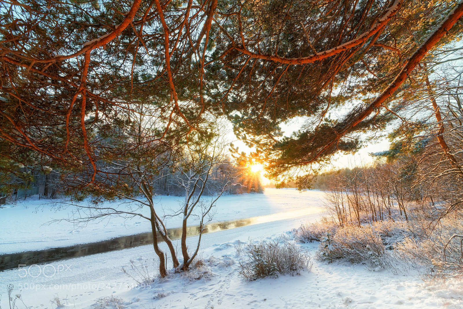 Nikon D600 sample photo. Frosty sunset 2 photography