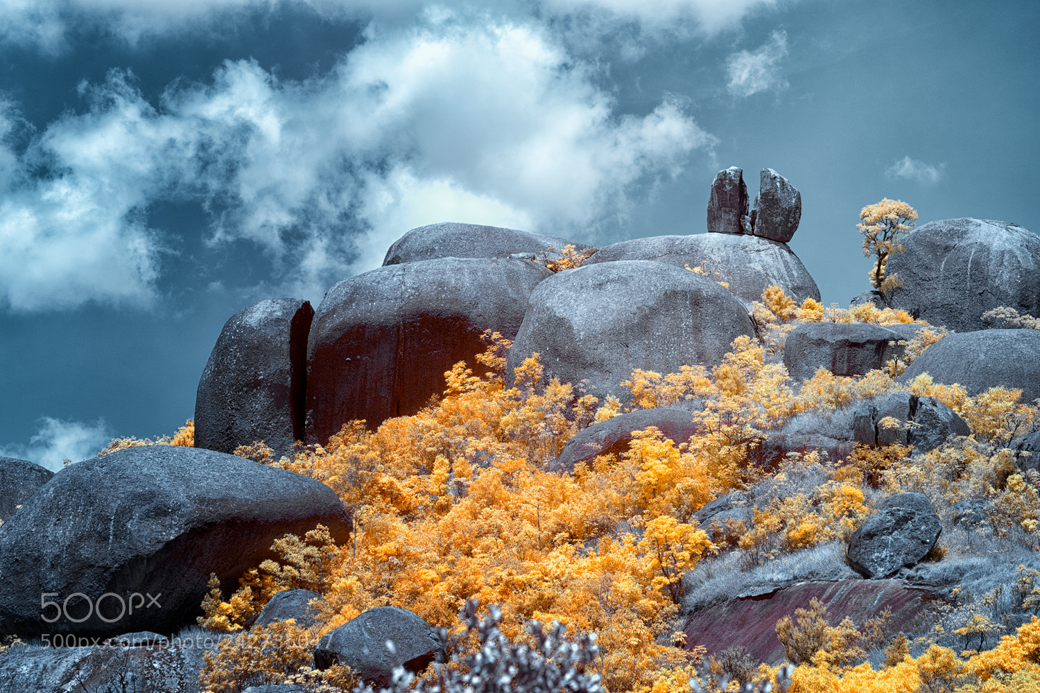 Sony a7 II sample photo. Infrared photography photography