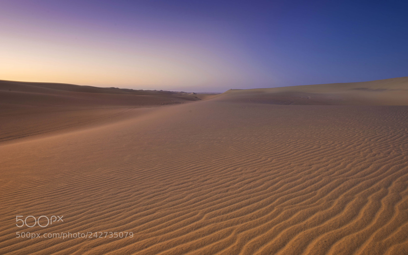 Nikon D810 sample photo. Desert photography