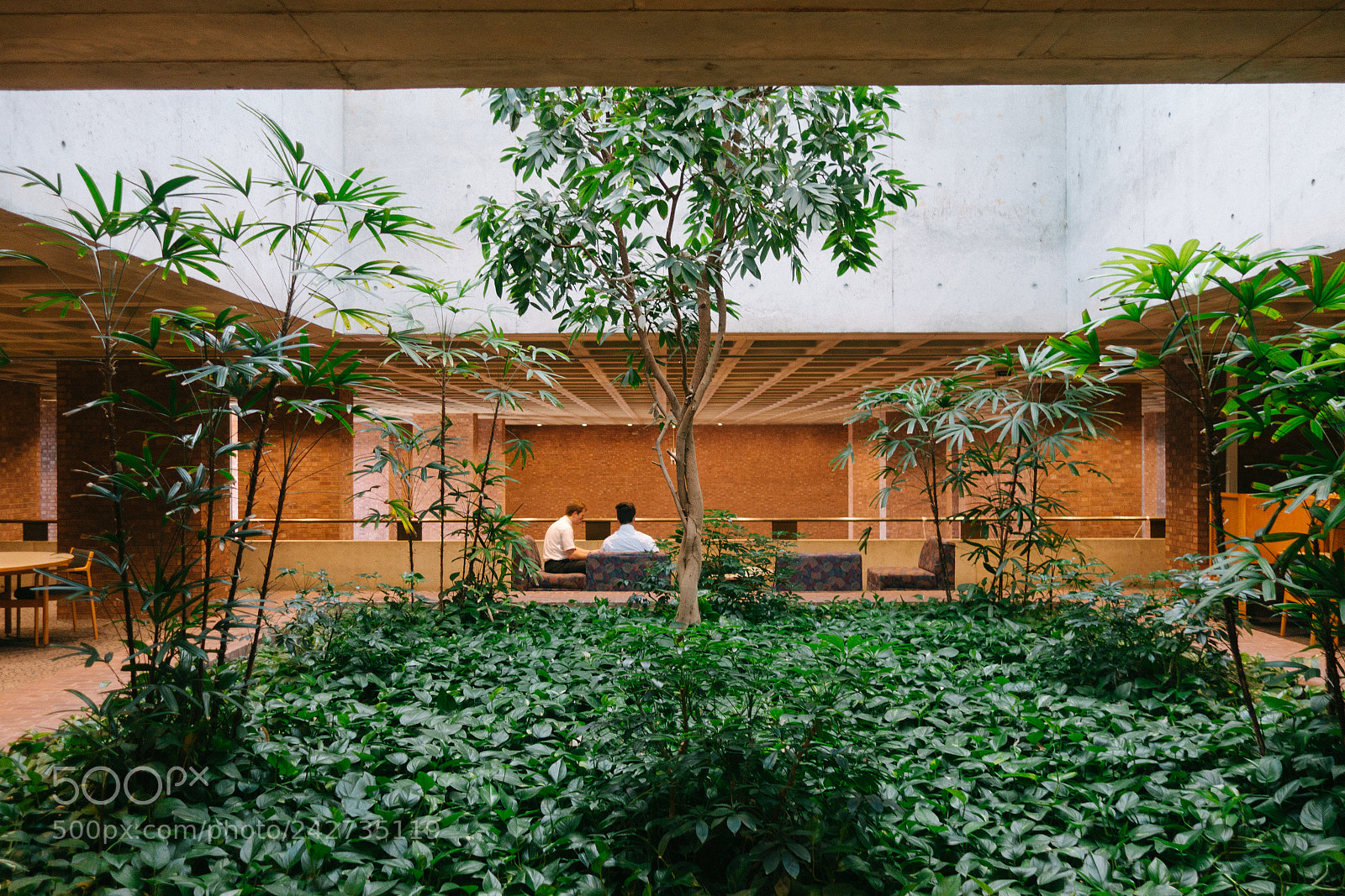 Sony Cyber-shot DSC-RX100 II sample photo. Mid century library photography