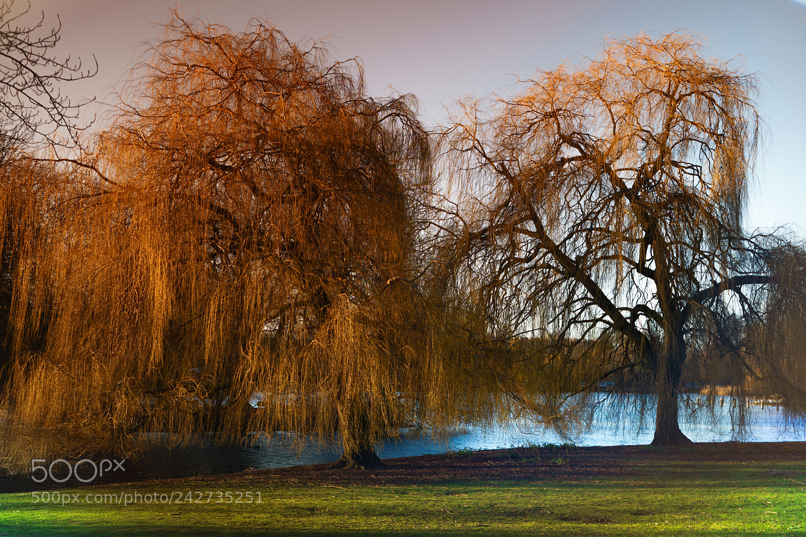 Sony a7 II sample photo. Parks in autumn photography