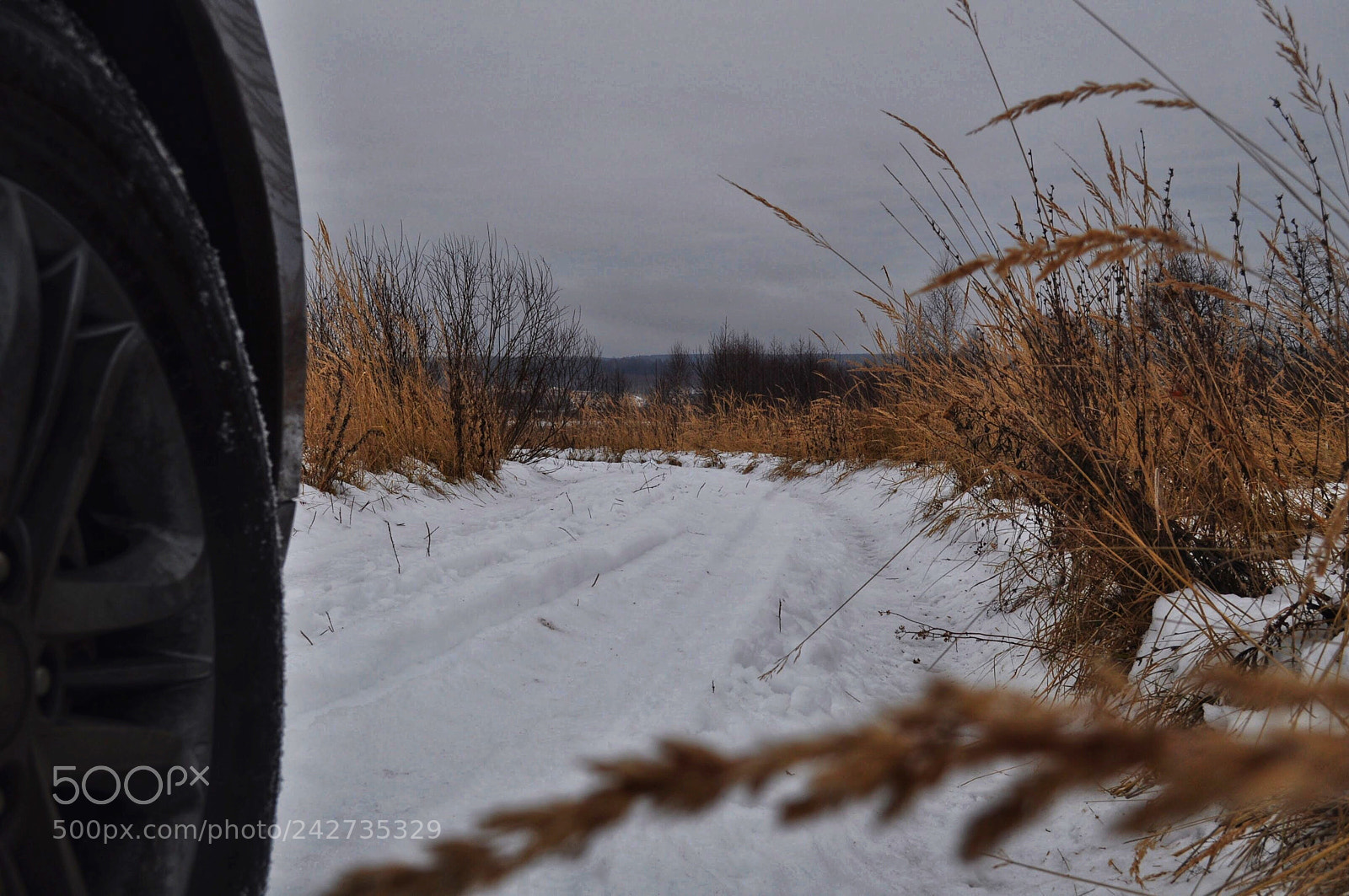 Nikon D5000 sample photo. Untitled photography