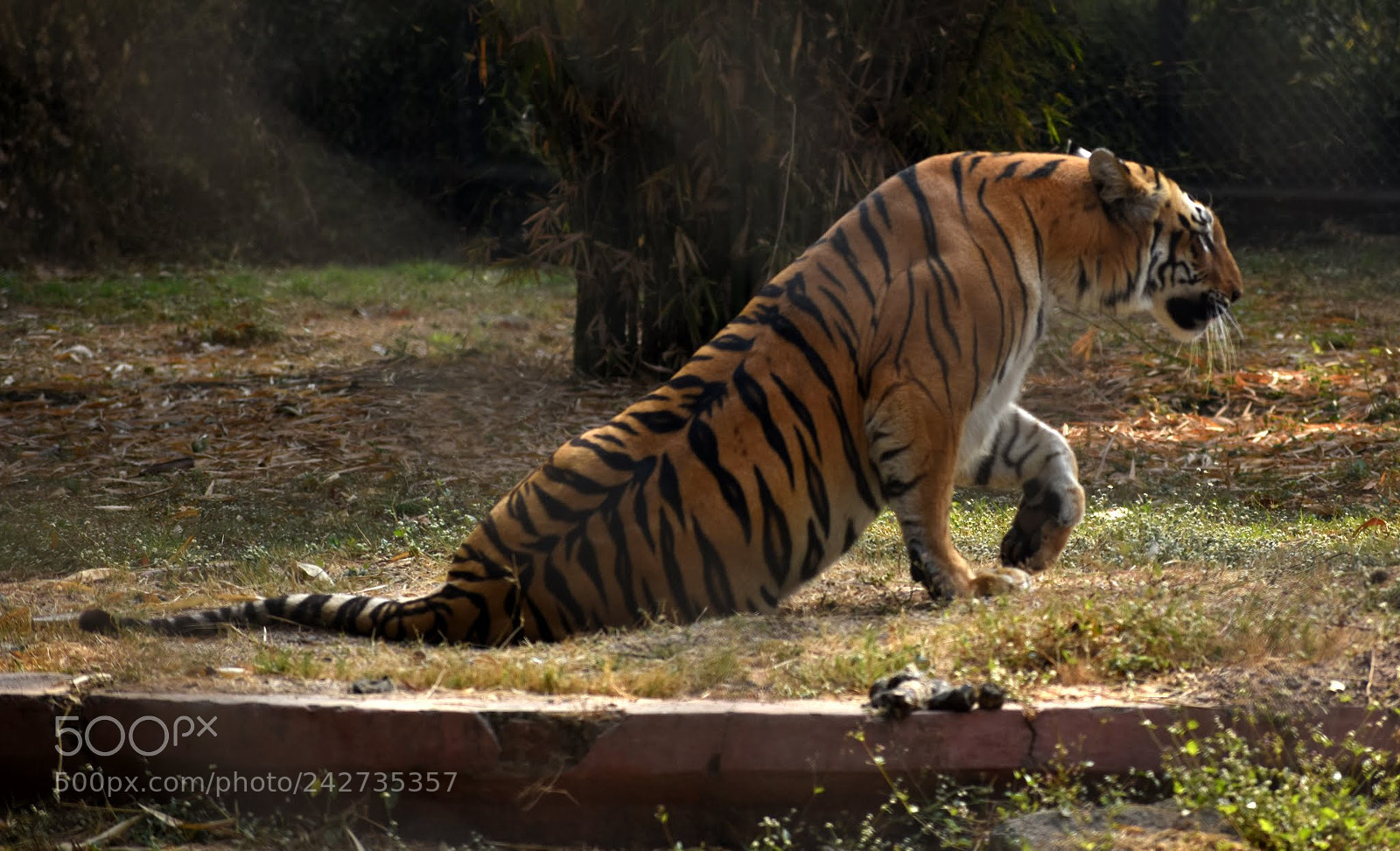 Nikon D7200 sample photo. Untitled photography