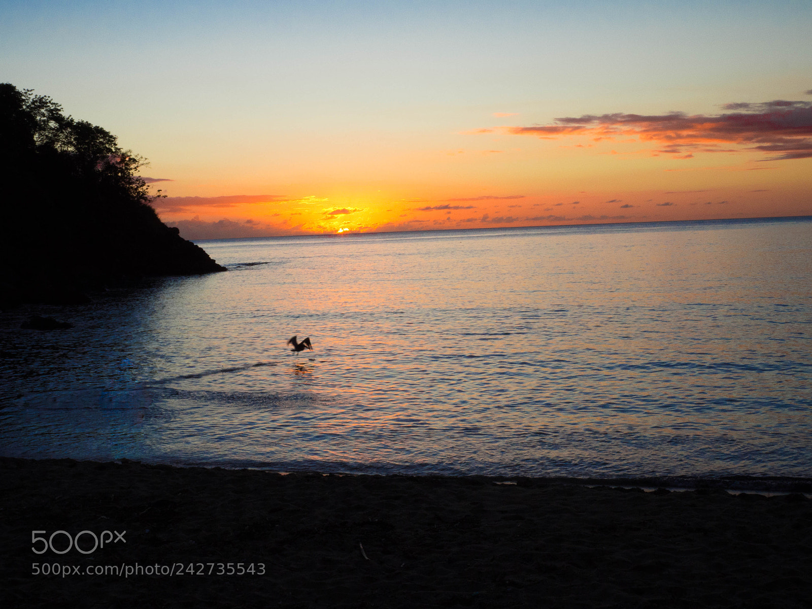Olympus OM-D E-M10 II sample photo. Pelican over the sea photography