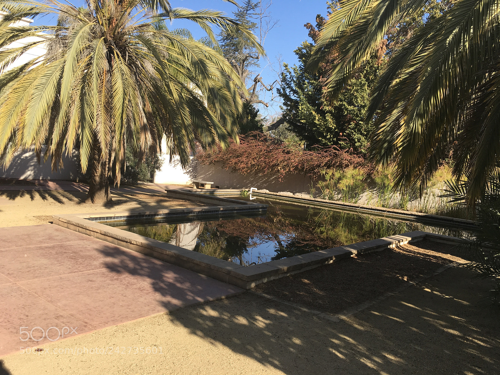 Apple iPad Pro sample photo. Reflection pool photography