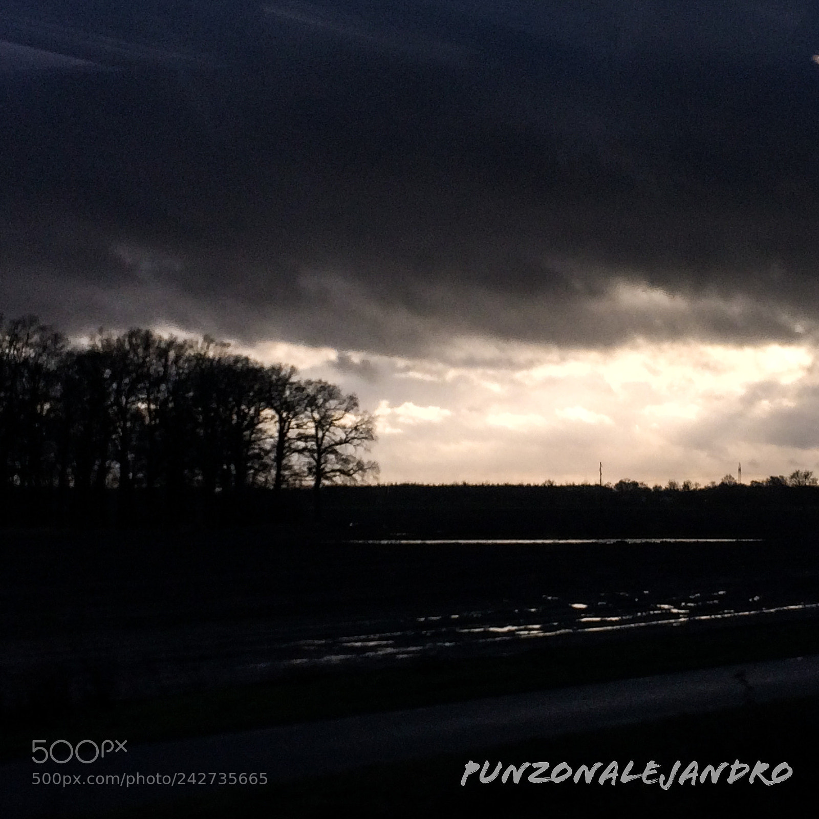 Apple iPhone 5s sample photo. North rhine-westphalia, germany. tree photography