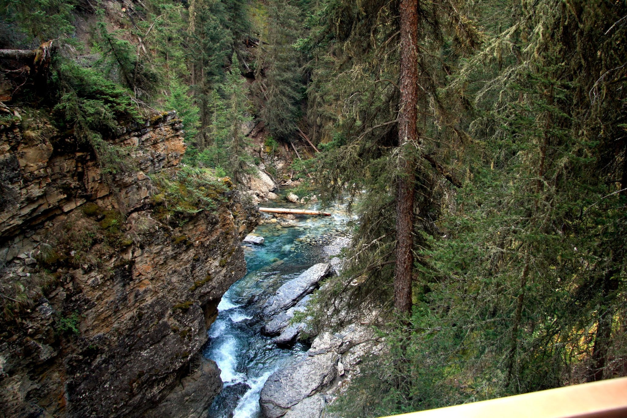 Canon EF-S 17-85mm F4-5.6 IS USM sample photo. Deer leap ( bc ) photography