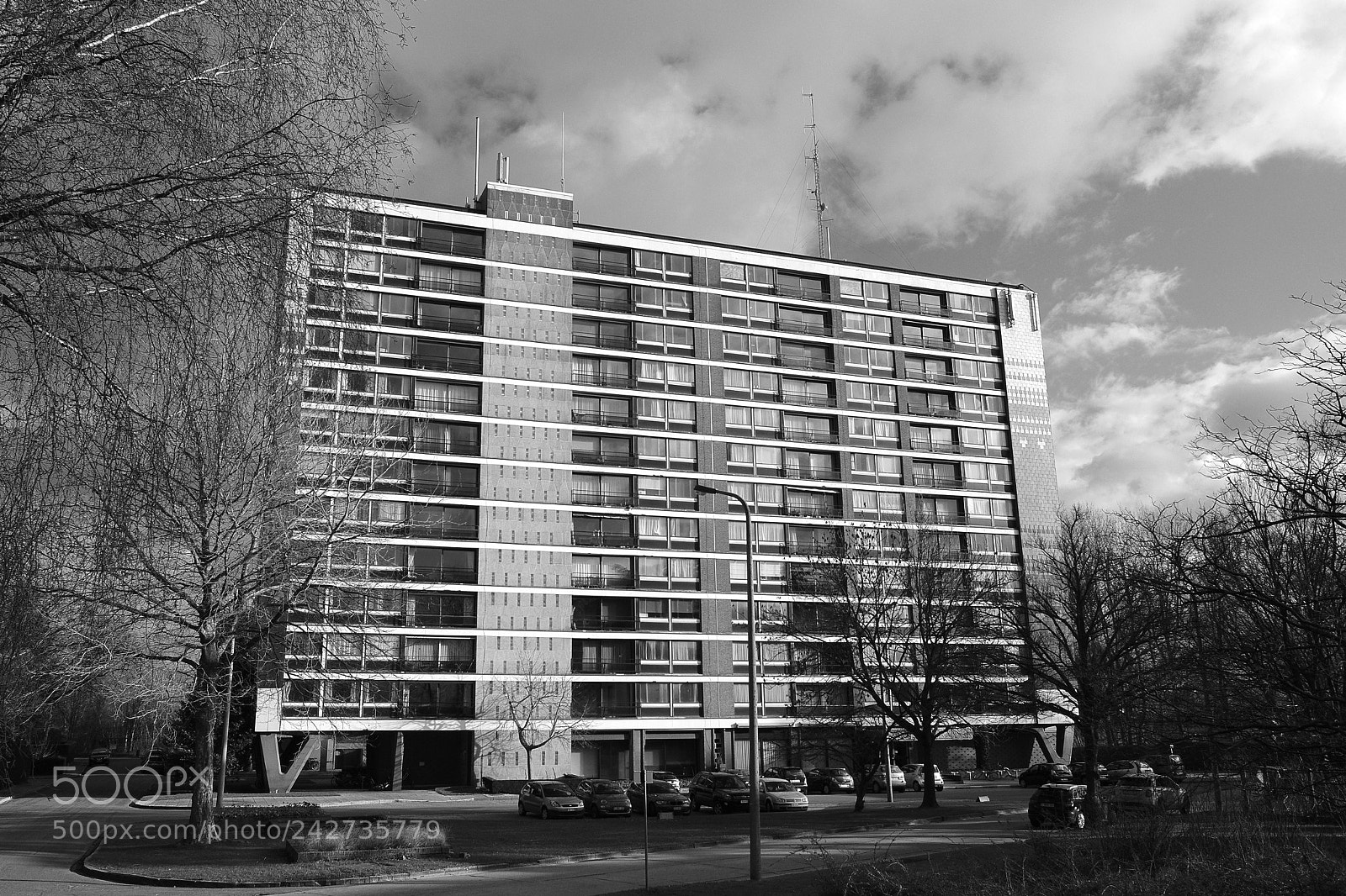 Fujifilm X-T20 sample photo. Leeuwerik photography