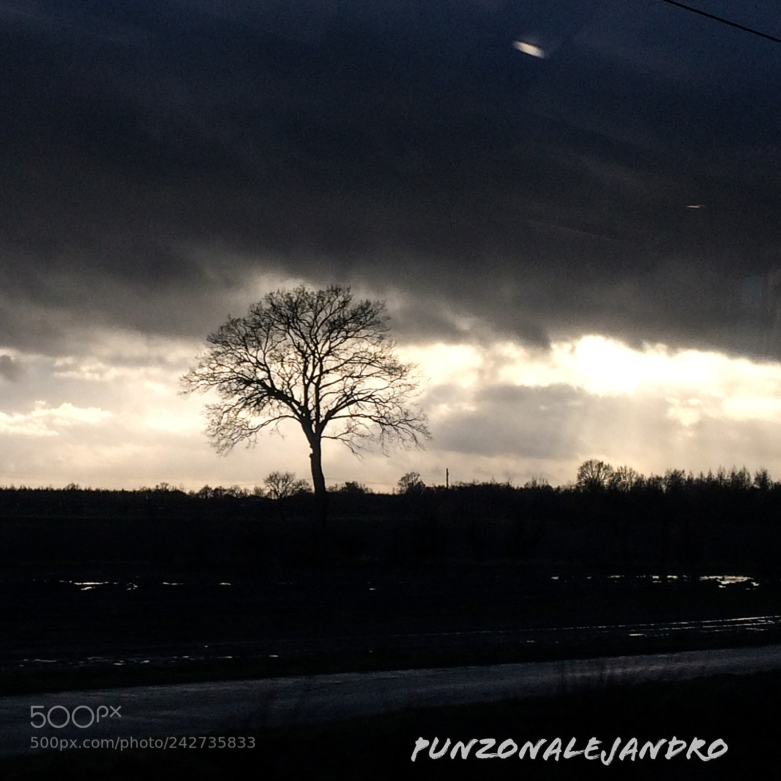 Apple iPhone 5s sample photo. North rhine-westphalia, germany. tree photography