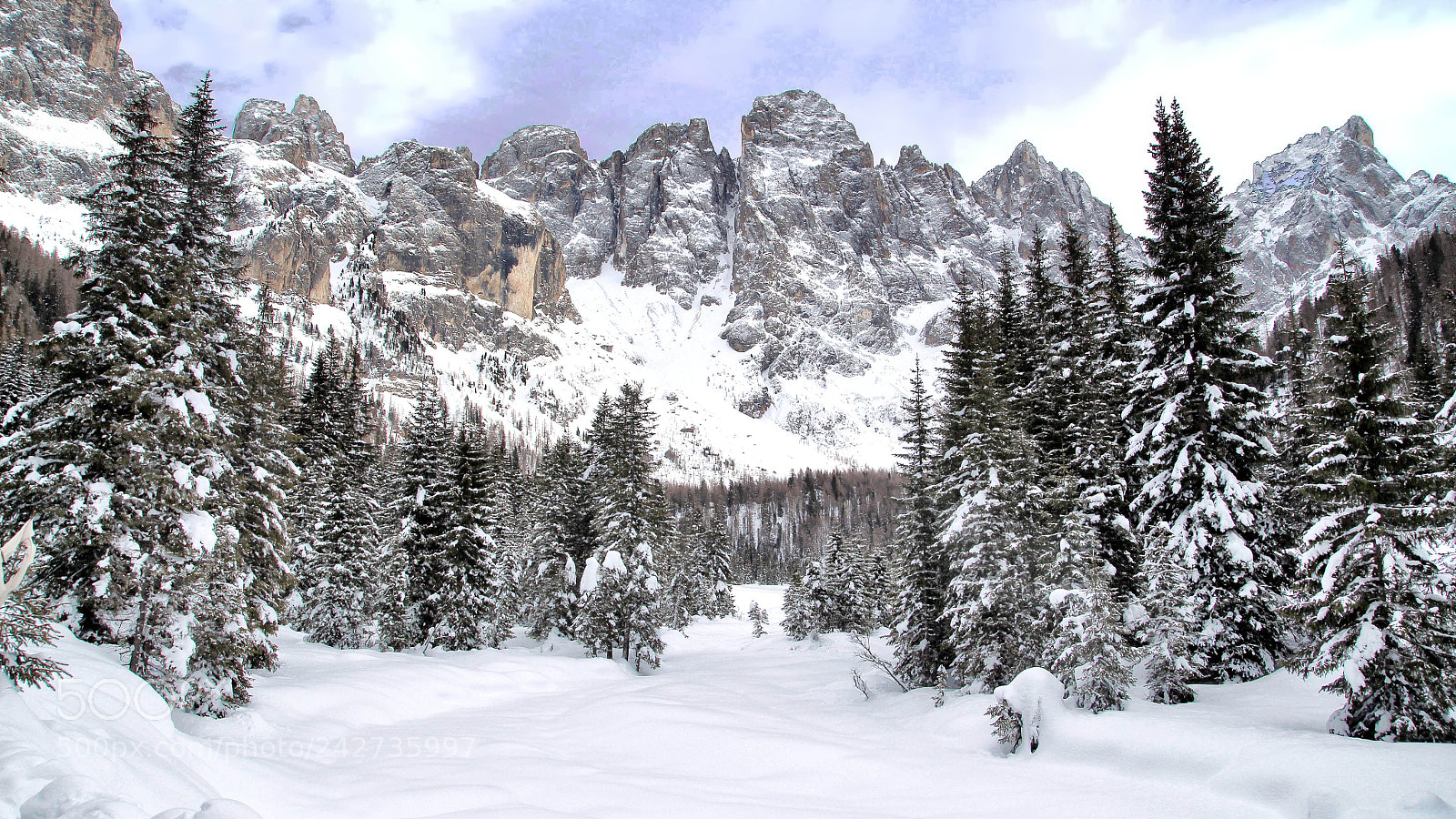 Canon EOS 650D (EOS Rebel T4i / EOS Kiss X6i) sample photo. After a snowfall in photography