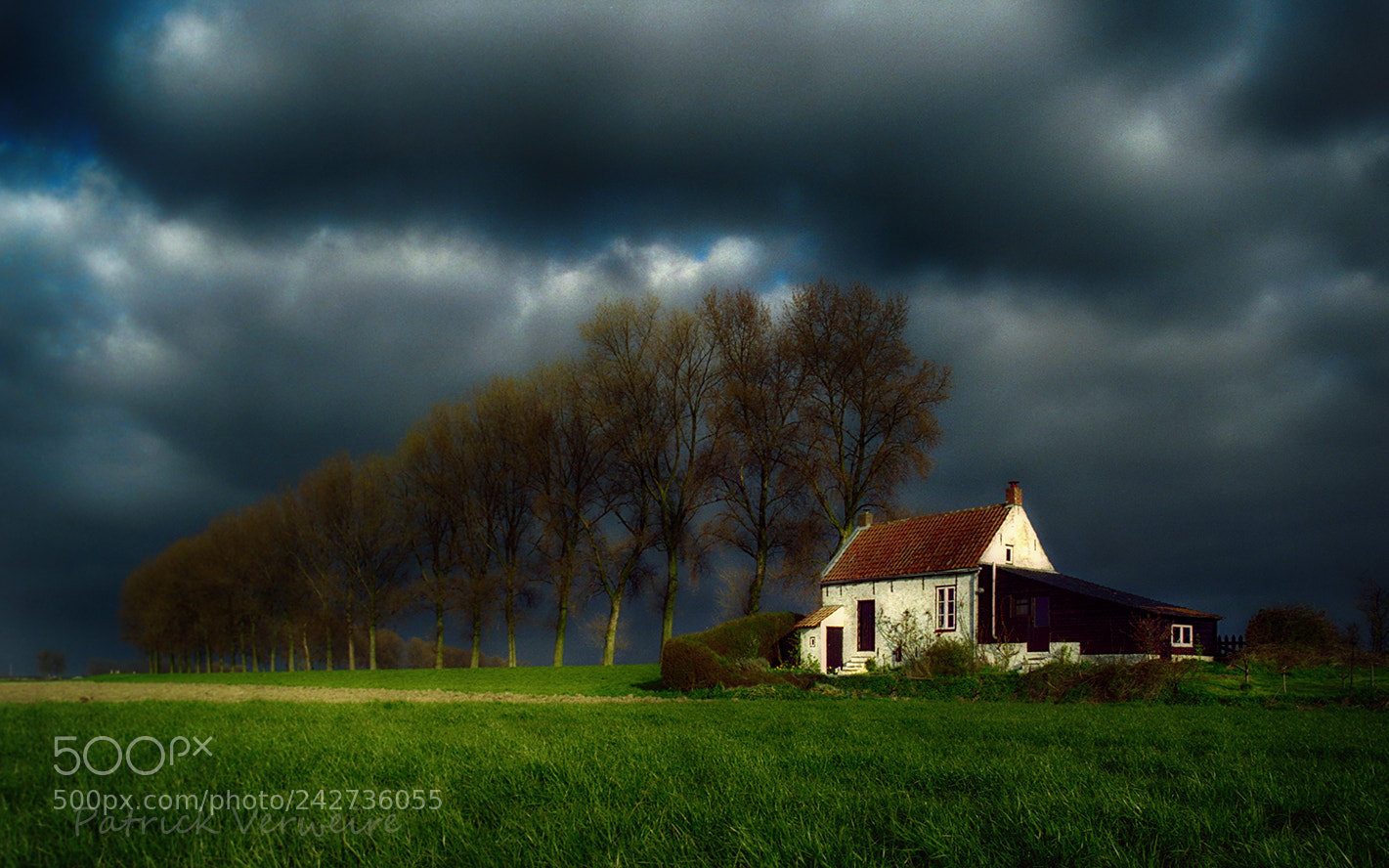 Canon EOS 5DS sample photo. White houses 8 photography