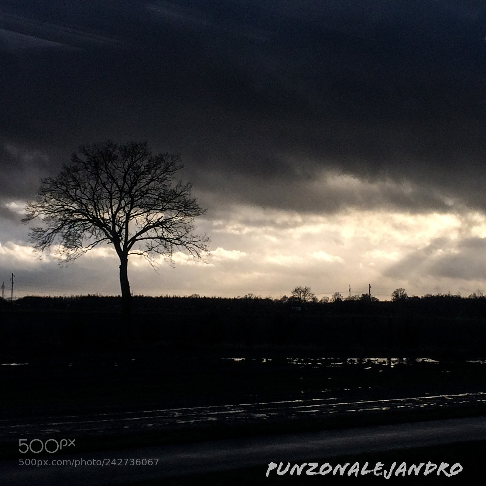 Apple iPhone 5s sample photo. North rhine-westphalia, germany. tree photography