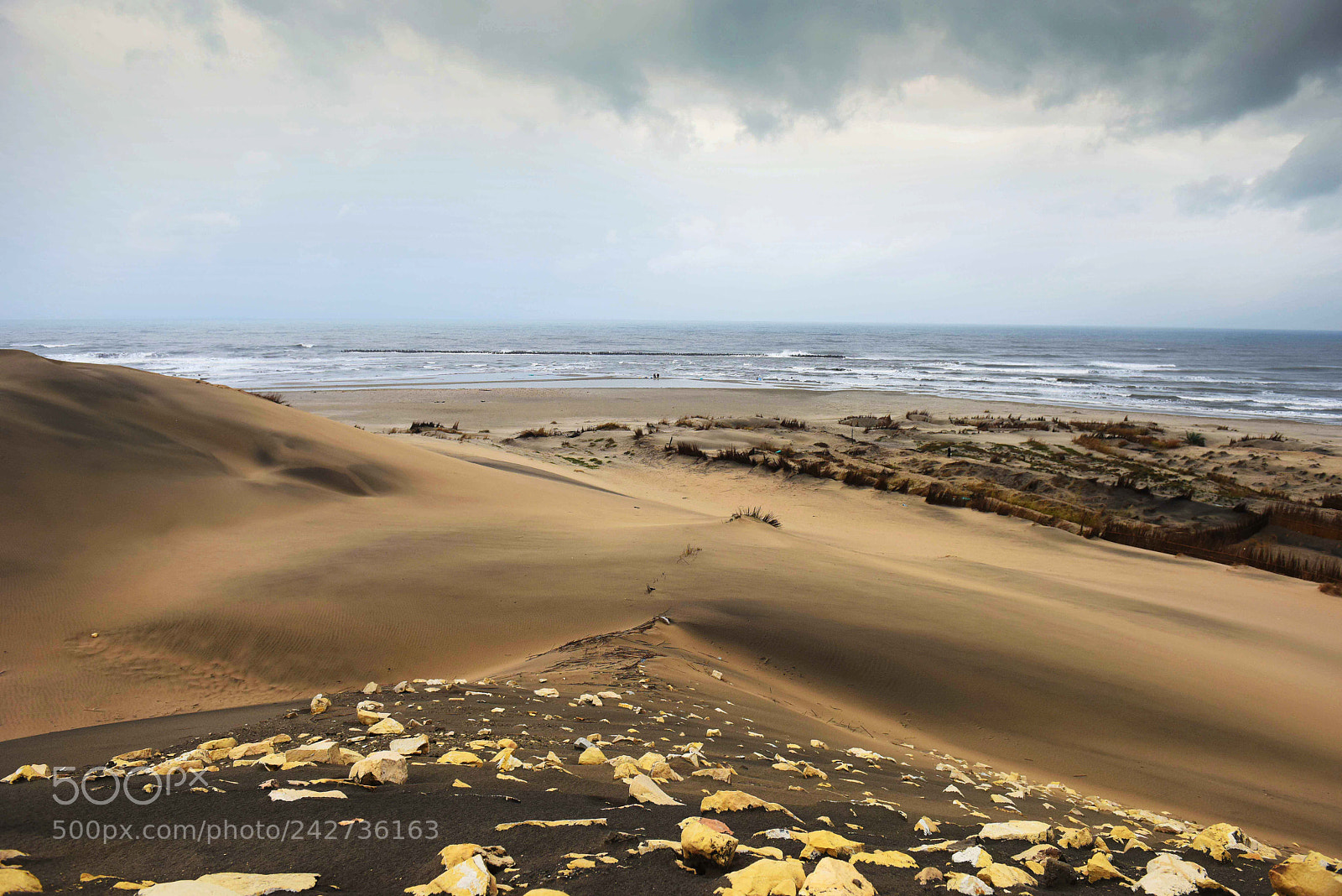 Nikon D810 sample photo. Protected area photography