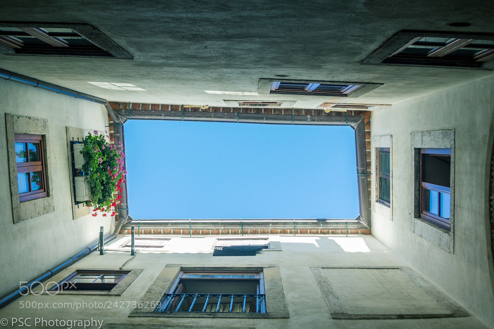 Canon EOS 60D sample photo. Looking up photography