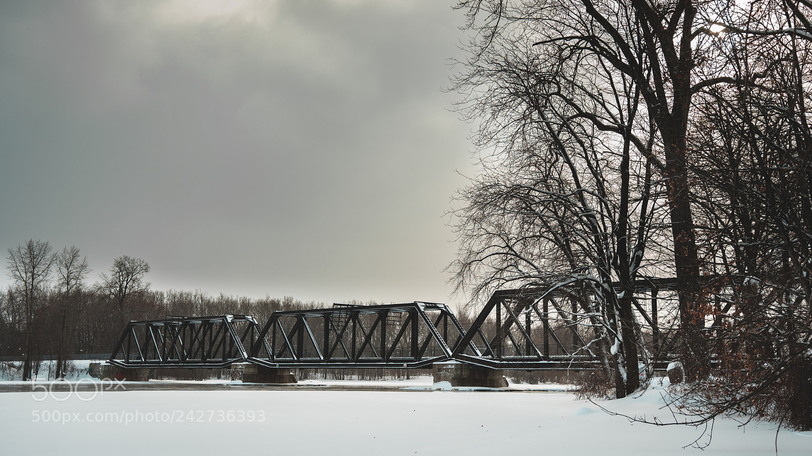 Nikon D500 sample photo. Winter on the bridge photography