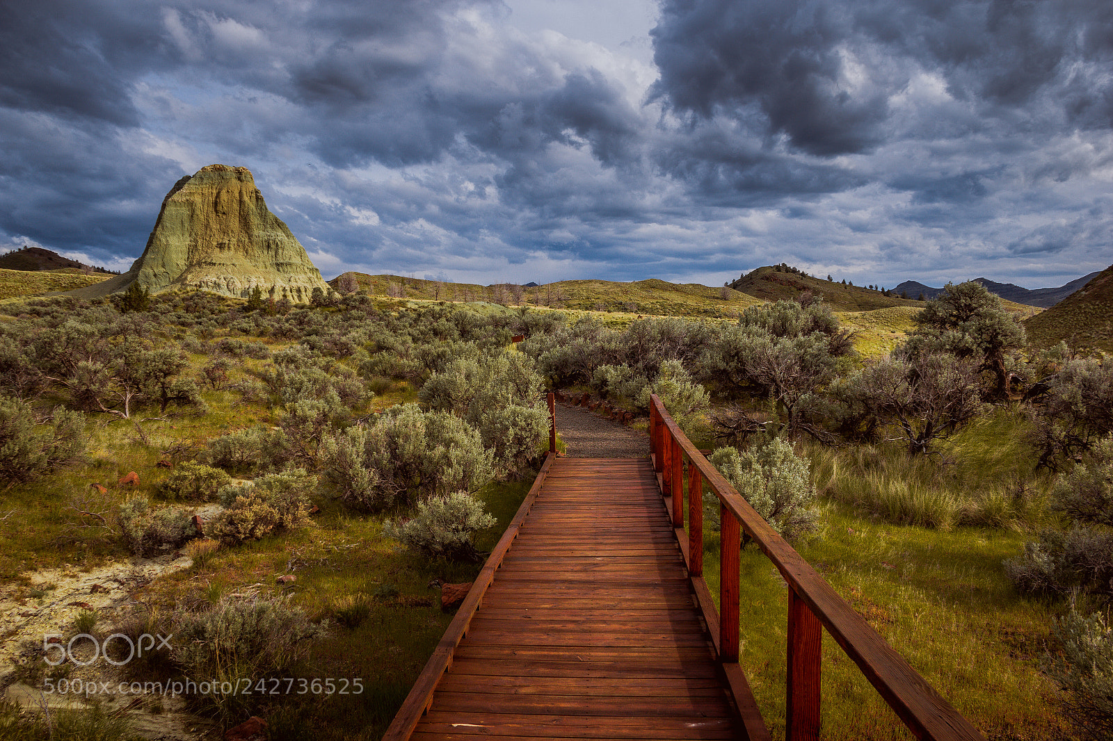 Canon EOS 60D sample photo. John day fossil beds photography
