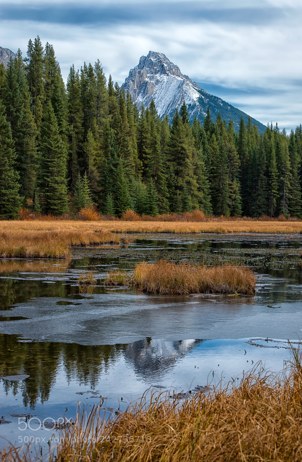 Nikon D800 sample photo. Autumn in the kananaskis photography
