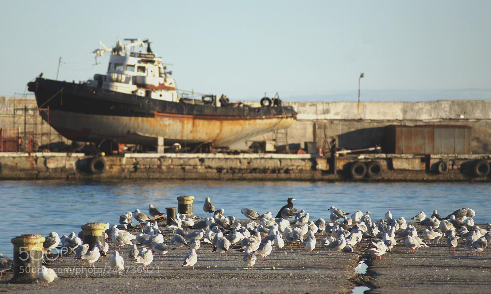 Sony Alpha DSLR-A580 sample photo. Yalta photography