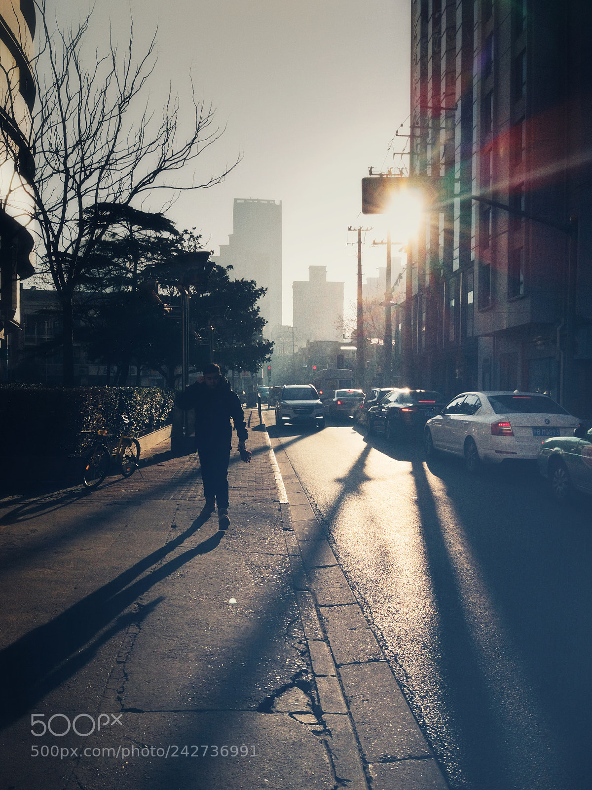 Xiaomi MI 5 sample photo. 逆 photography